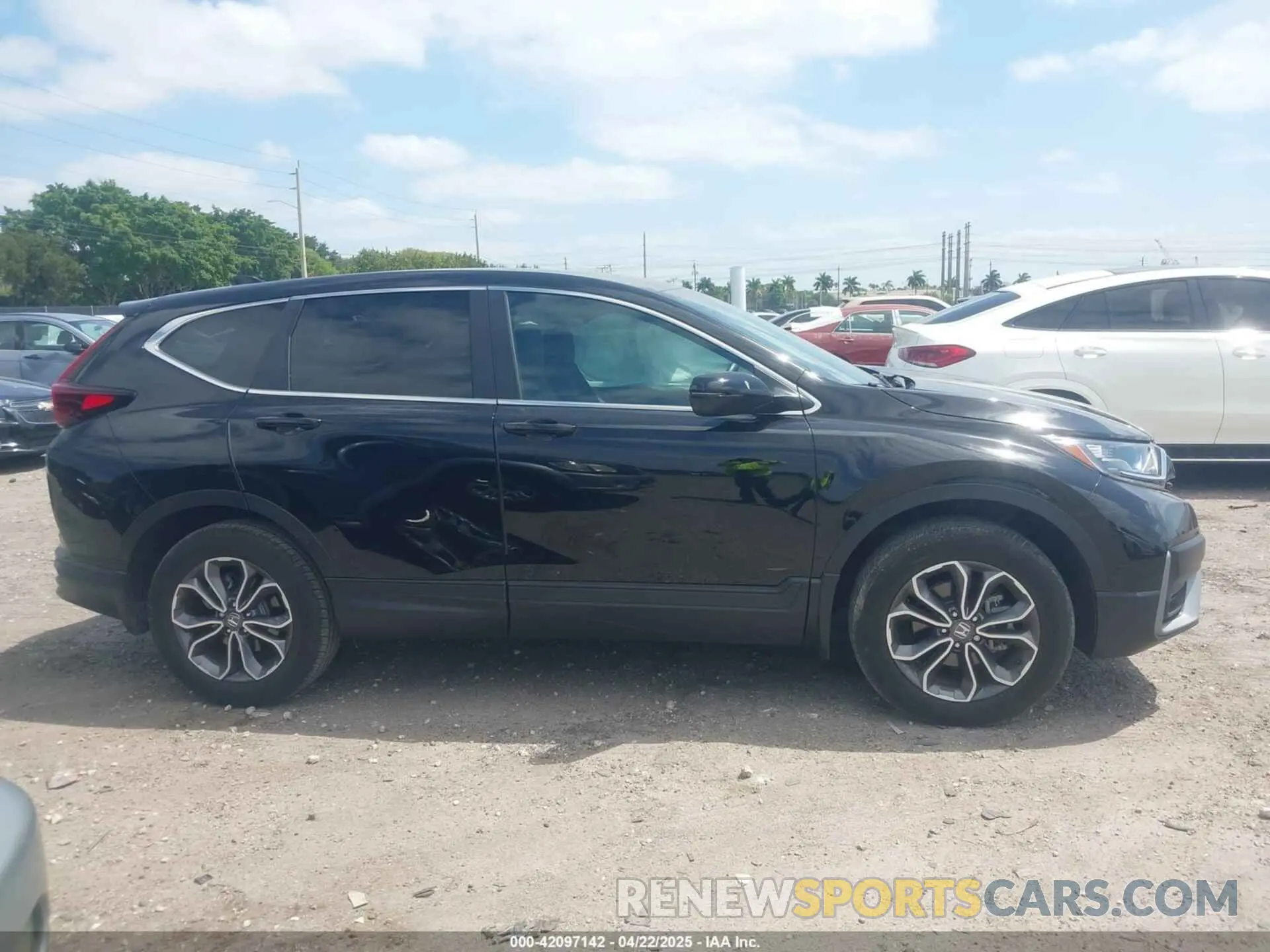 13 fotografías del automóvil dañado 7FARW2H88NE048953 HONDA CR-V 2022