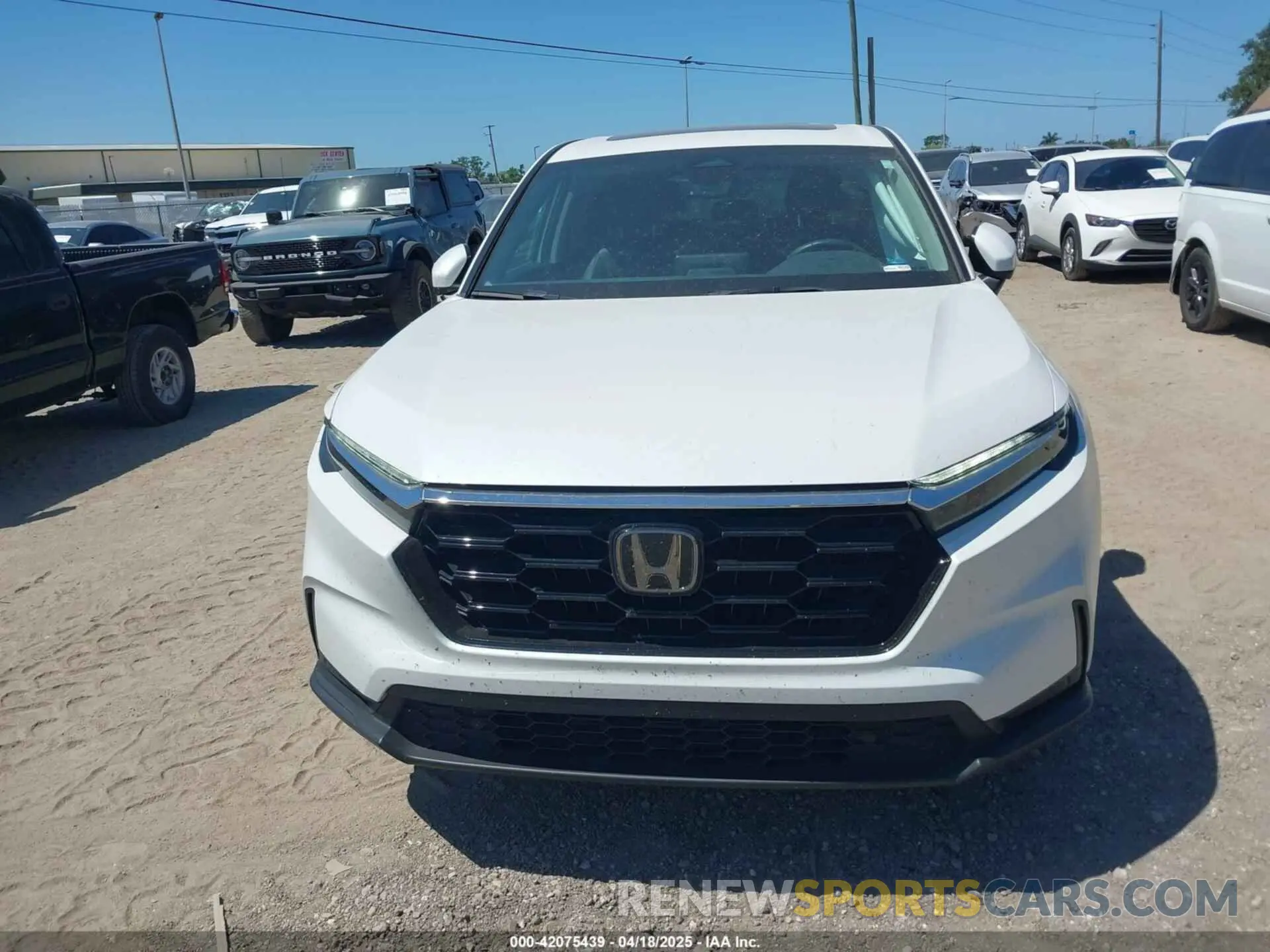 12 fotografías del automóvil dañado 2HKRS3H73RH320224 HONDA CR-V 2024