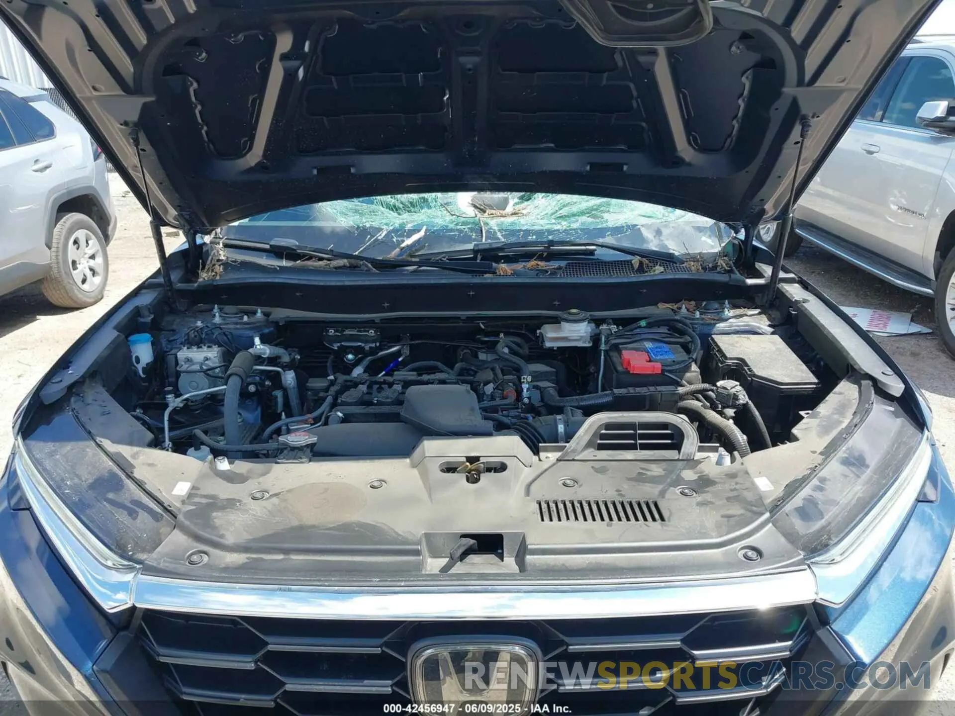10 fotografías del automóvil dañado 5J6RS3H2XRL008556 HONDA CR-V 2024