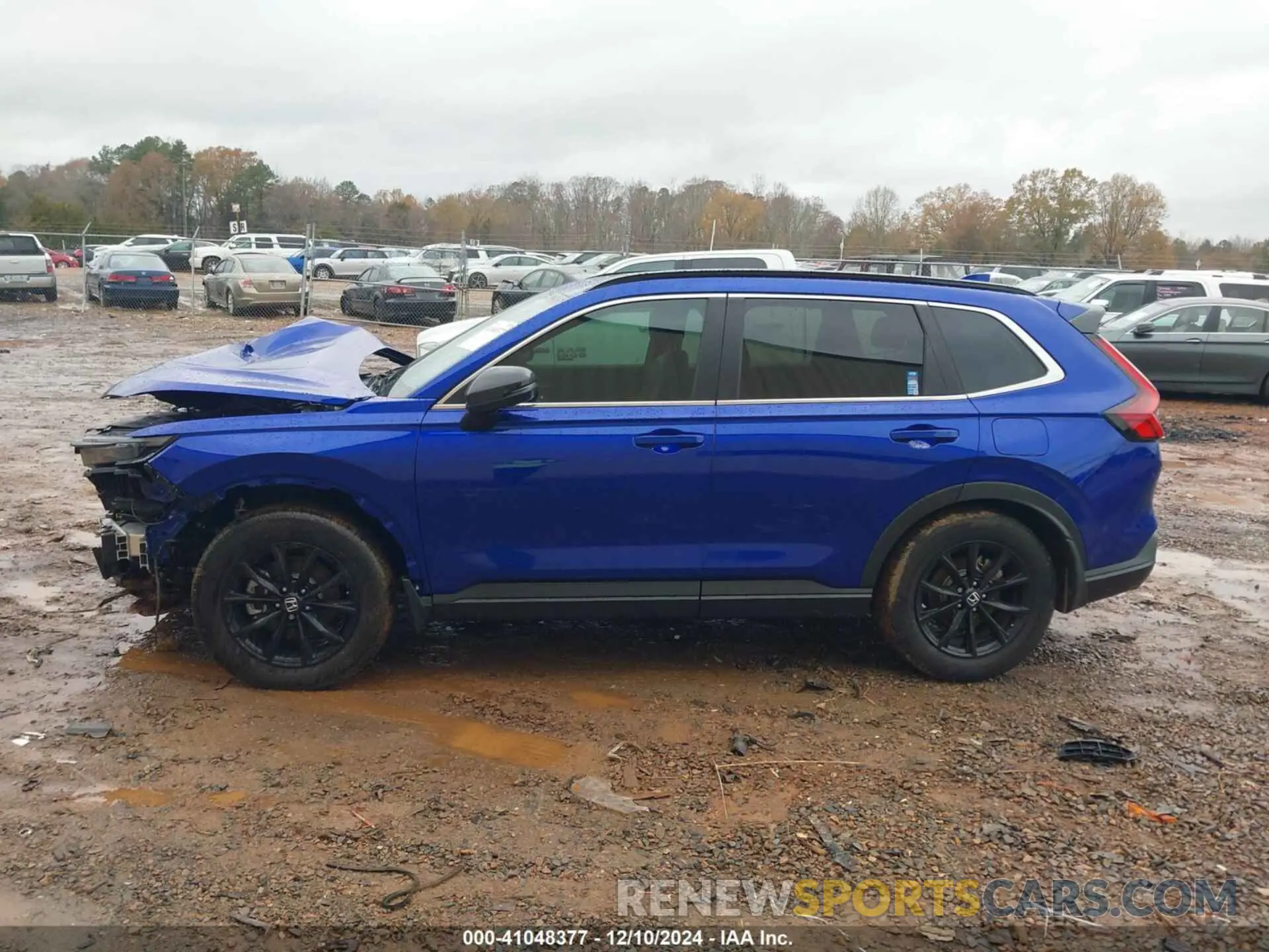 14 fotografías del automóvil dañado 5J6RS5H89RL003154 HONDA CR-V 2024