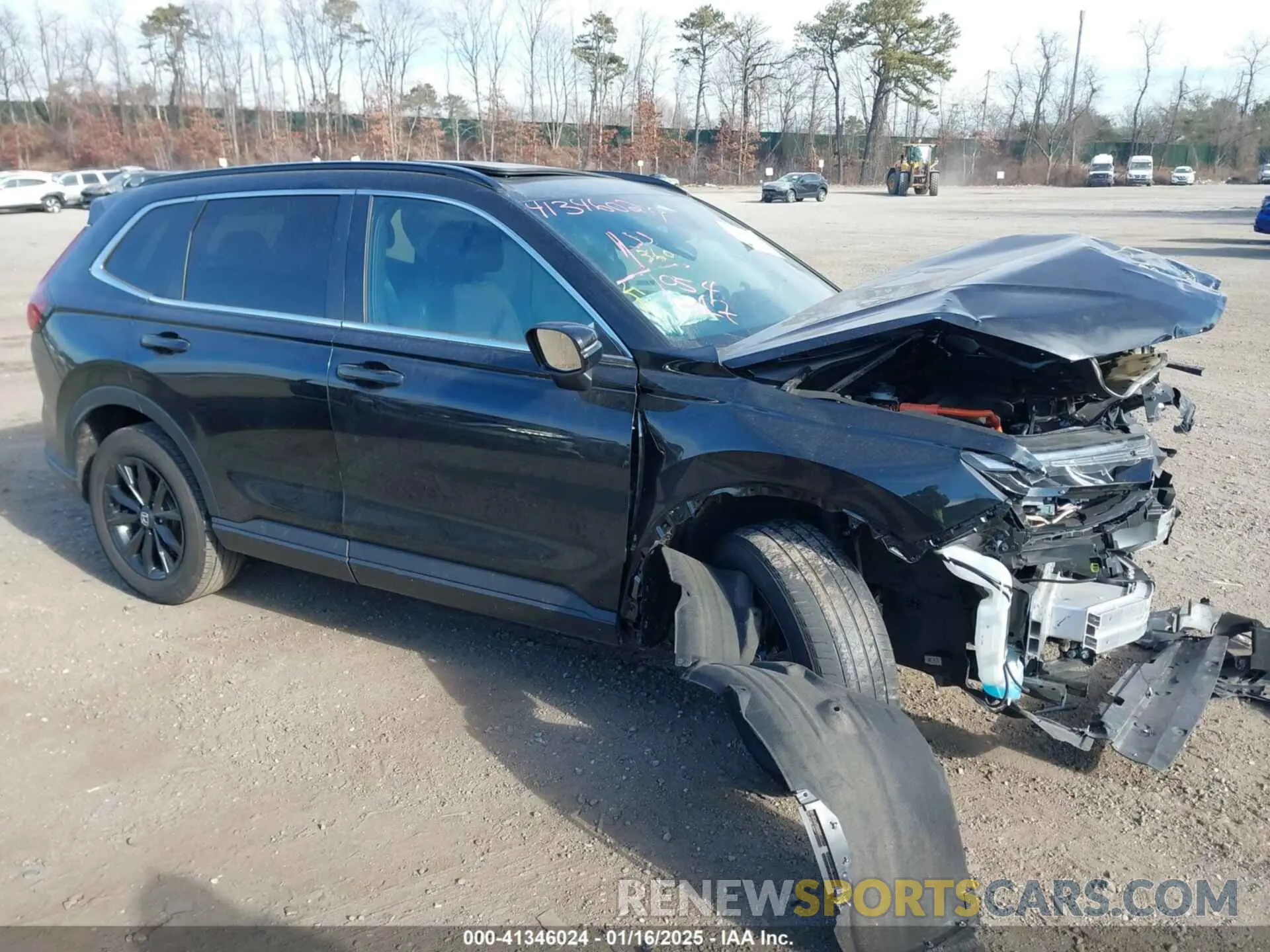 12 fotografías del automóvil dañado 5J6RS6H5XRL005930 HONDA CR-V 2024