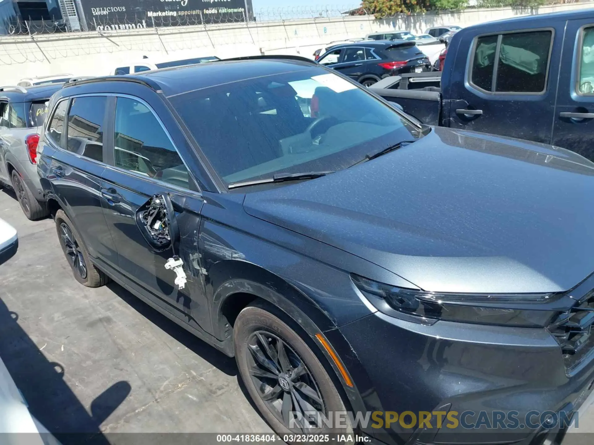 14 fotografías del automóvil dañado 7FARS5H54SE009825 HONDA CR-V 2025