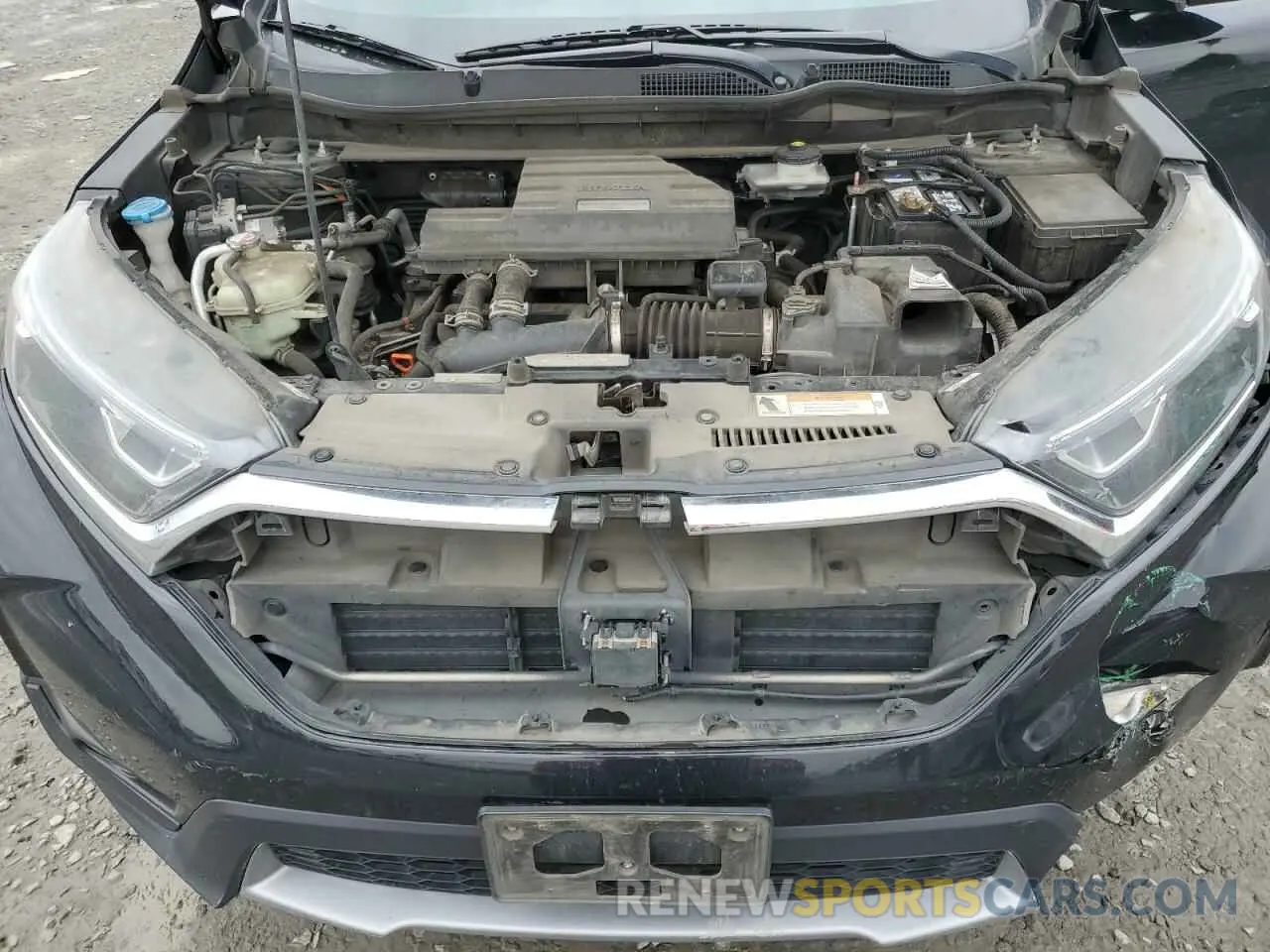14 fotografías del automóvil dañado 2HKRW2H56KH617202 HONDA CRV 2019