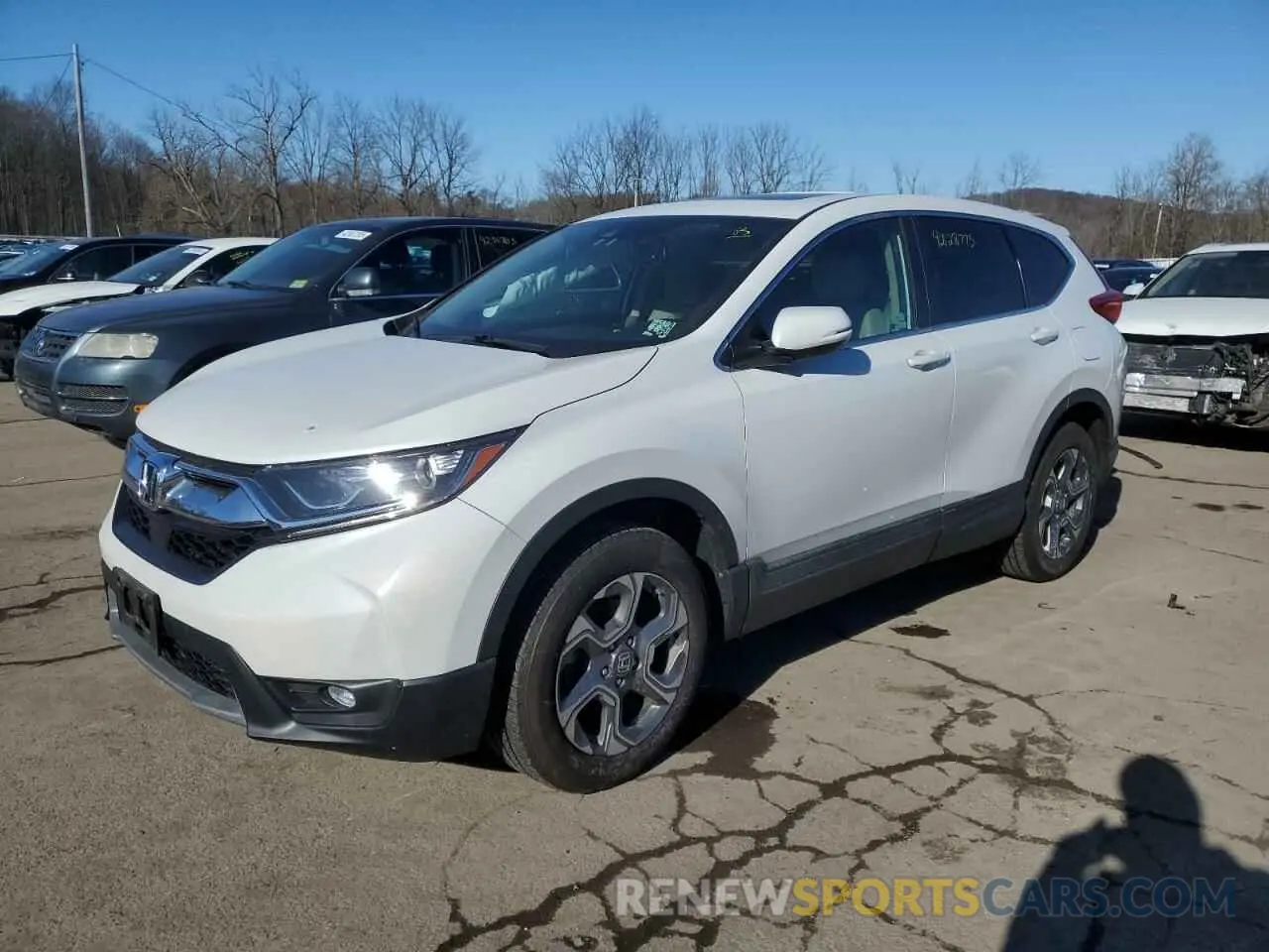 1 fotografías del automóvil dañado 2HKRW2H85KH656812 HONDA CRV 2019