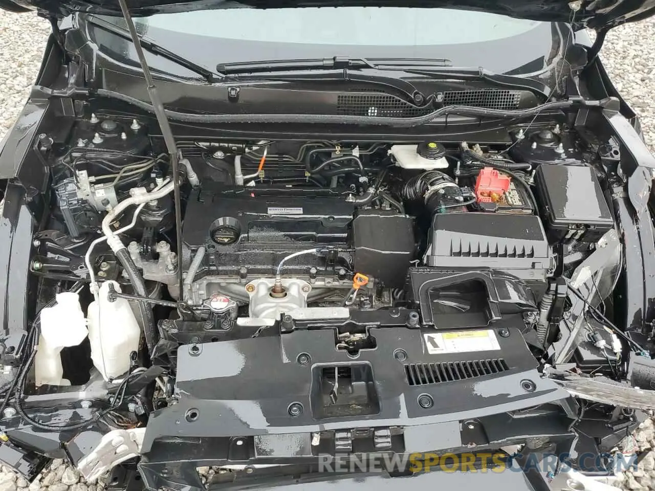 12 fotografías del automóvil dañado 2HKRW6H36KH230168 HONDA CRV 2019