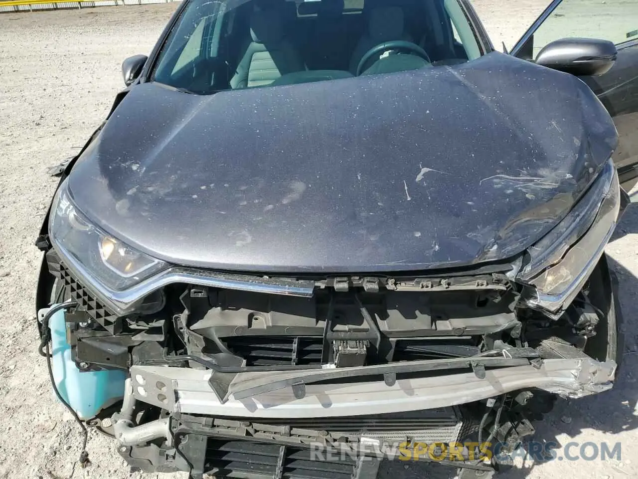 12 fotografías del automóvil dañado 5J6RW1H51KA031888 HONDA CRV 2019