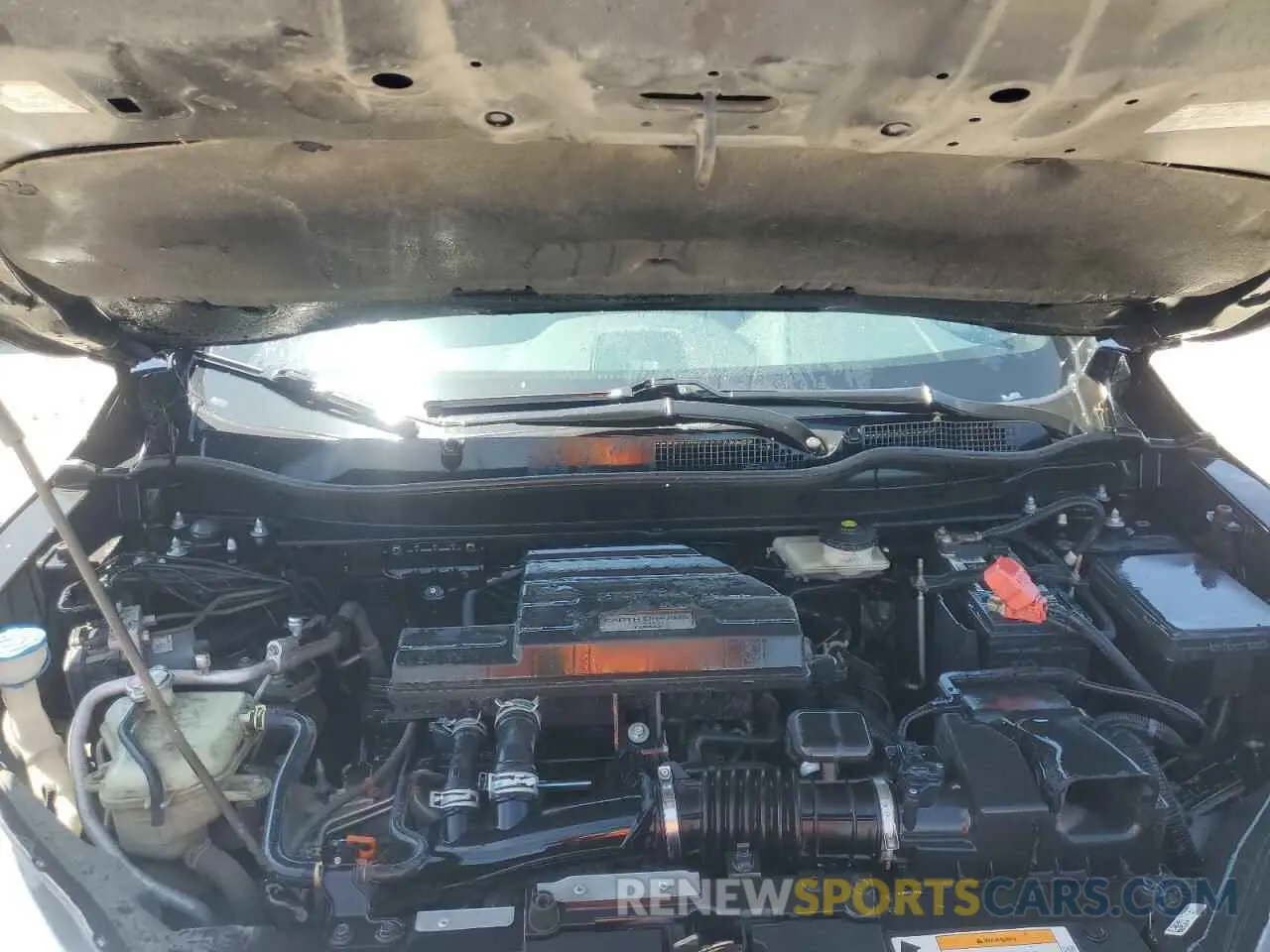 12 fotografías del automóvil dañado 5J6RW1H58KA005918 HONDA CRV 2019