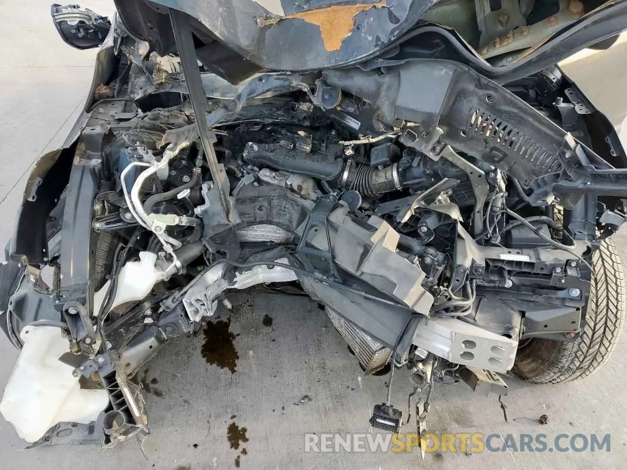 12 fotografías del automóvil dañado 5J6RW2H51KA021724 HONDA CRV 2019