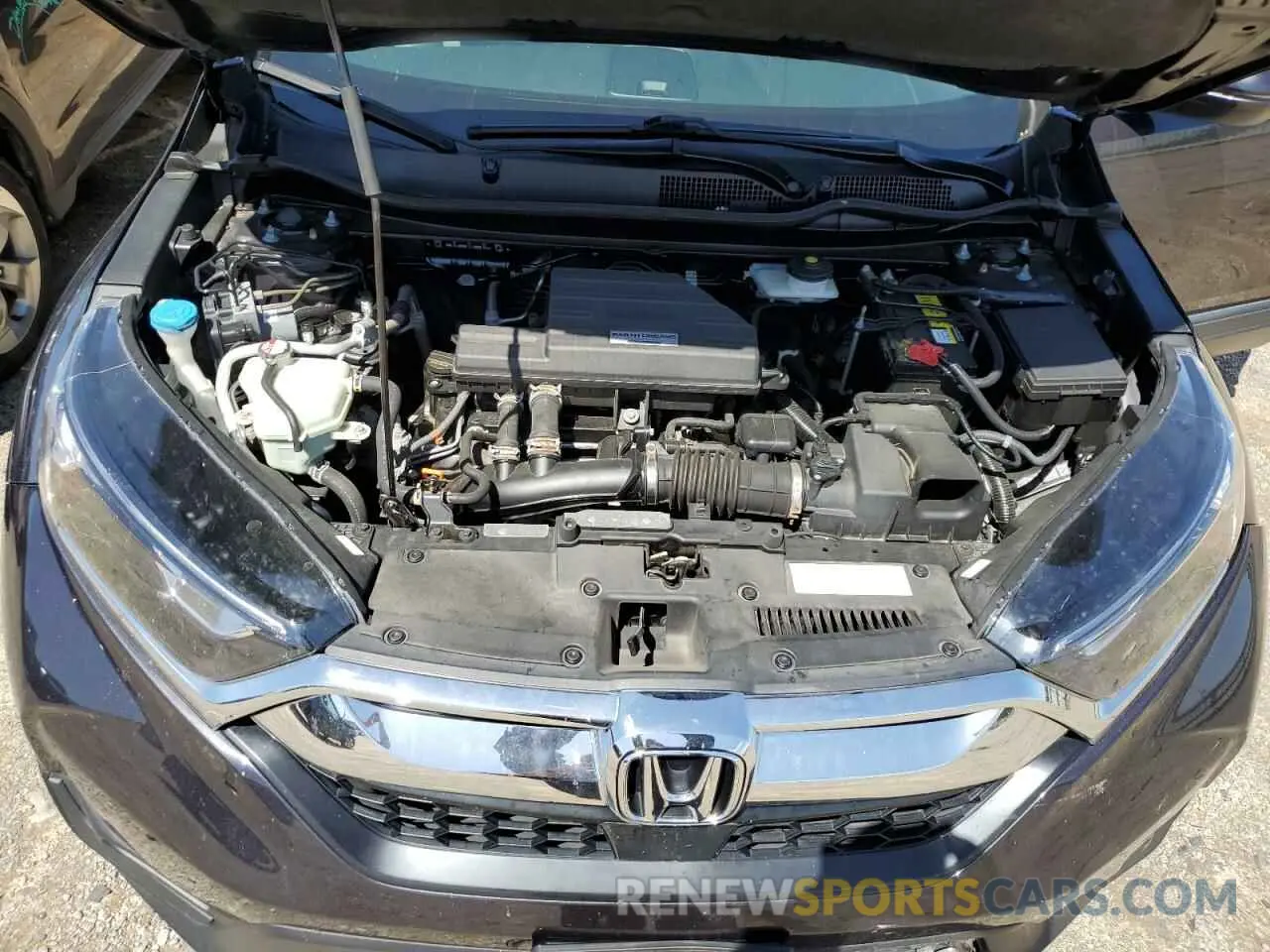 14 fotografías del automóvil dañado 5J6RW2H57KL025023 HONDA CRV 2019