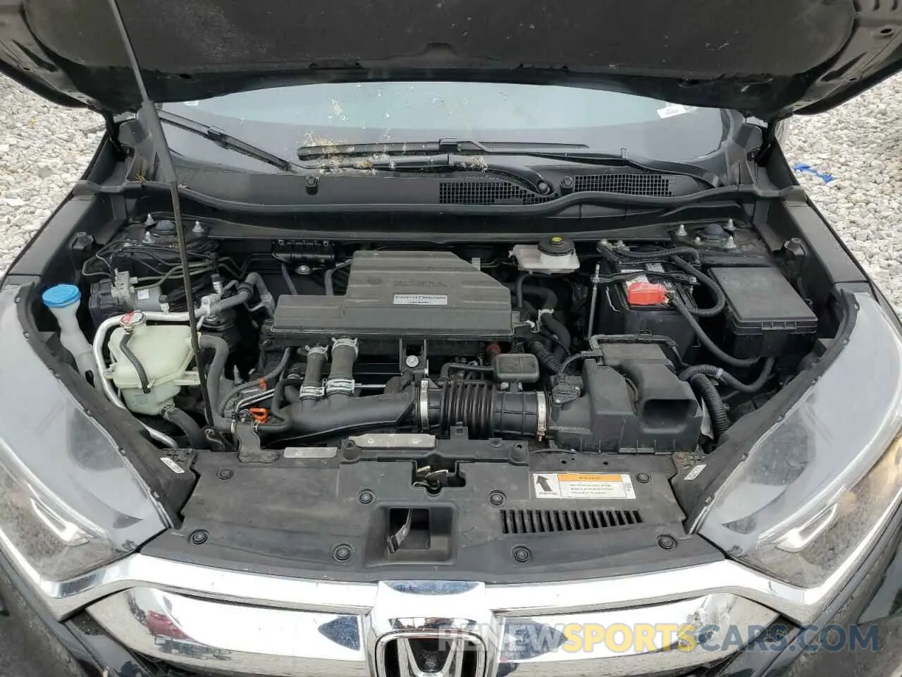 12 fotografías del automóvil dañado 5J6RW2H82KA021631 HONDA CRV 2019