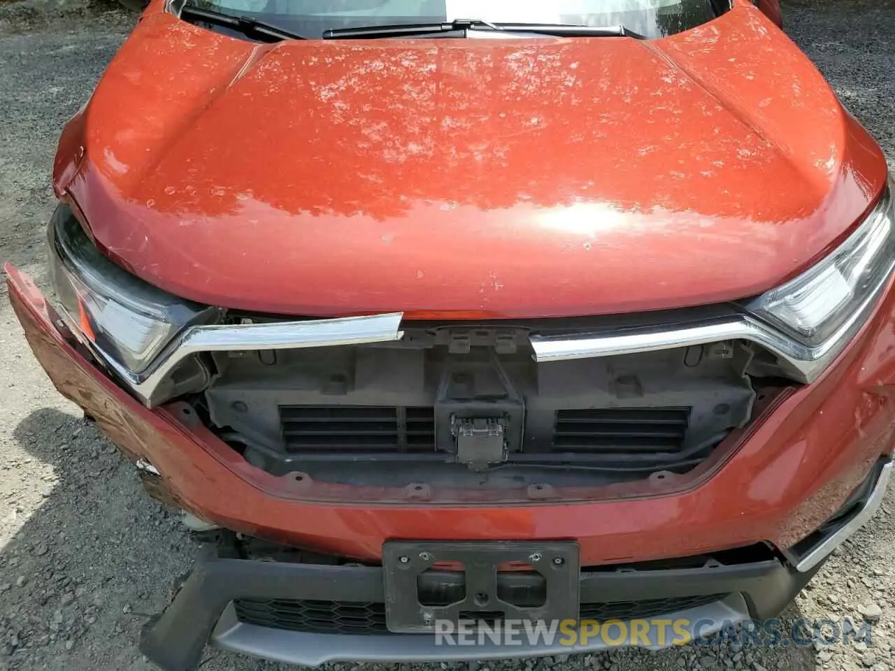 12 fotografías del automóvil dañado 5J6RW2H94KL000096 HONDA CRV 2019