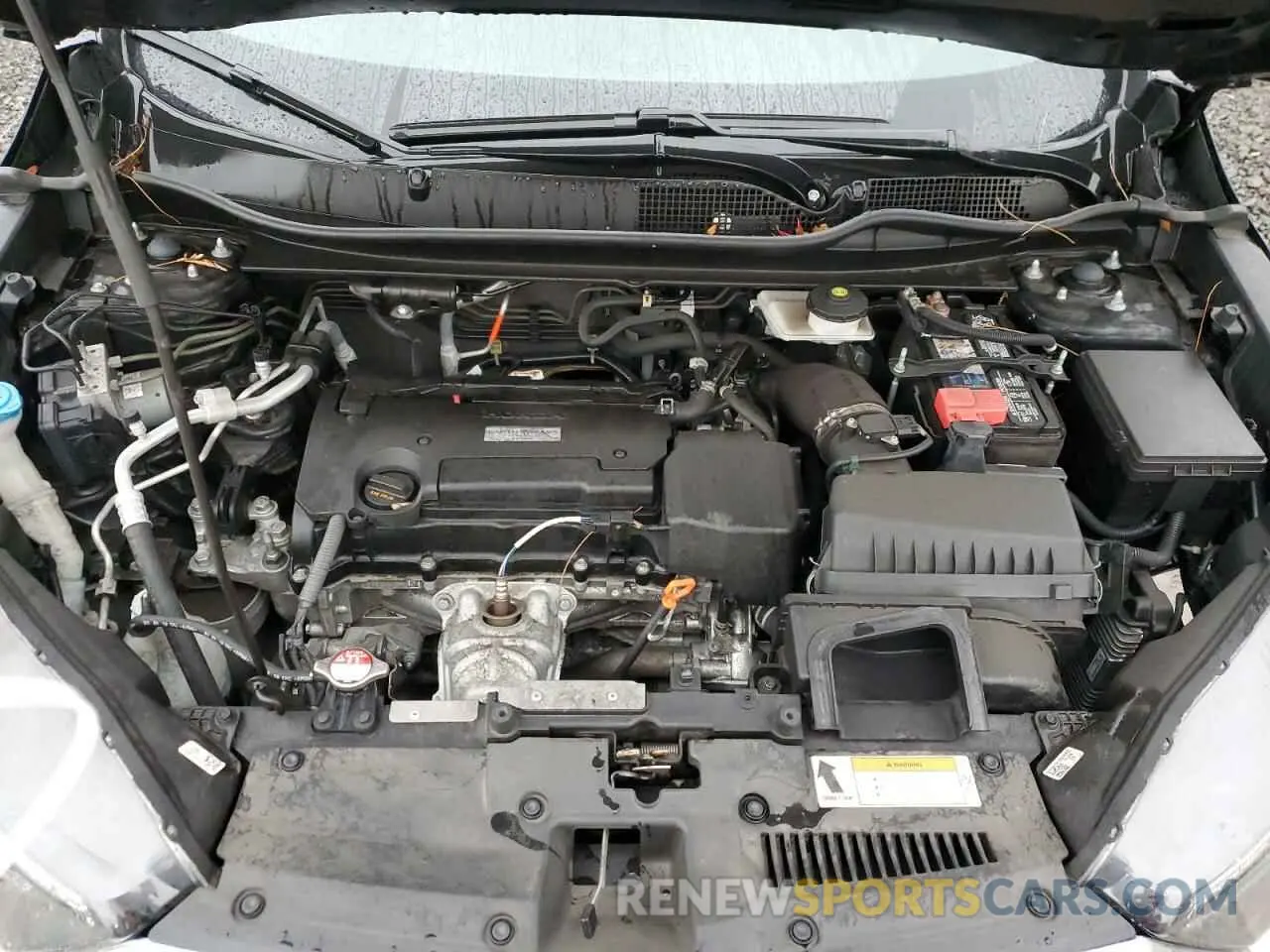 12 fotografías del automóvil dañado 5J6RW6H31KL004870 HONDA CRV 2019