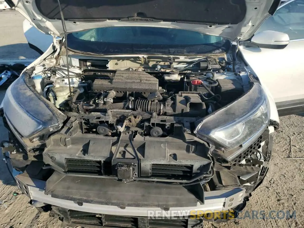12 fotografías del automóvil dañado 7FARW1H50KE017482 HONDA CRV 2019