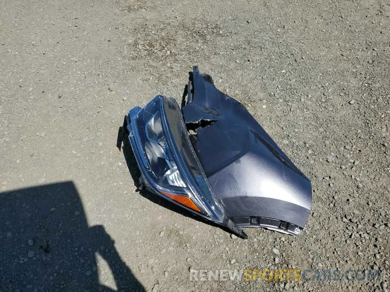 13 fotografías del automóvil dañado 7FARW1H55KE031376 HONDA CRV 2019