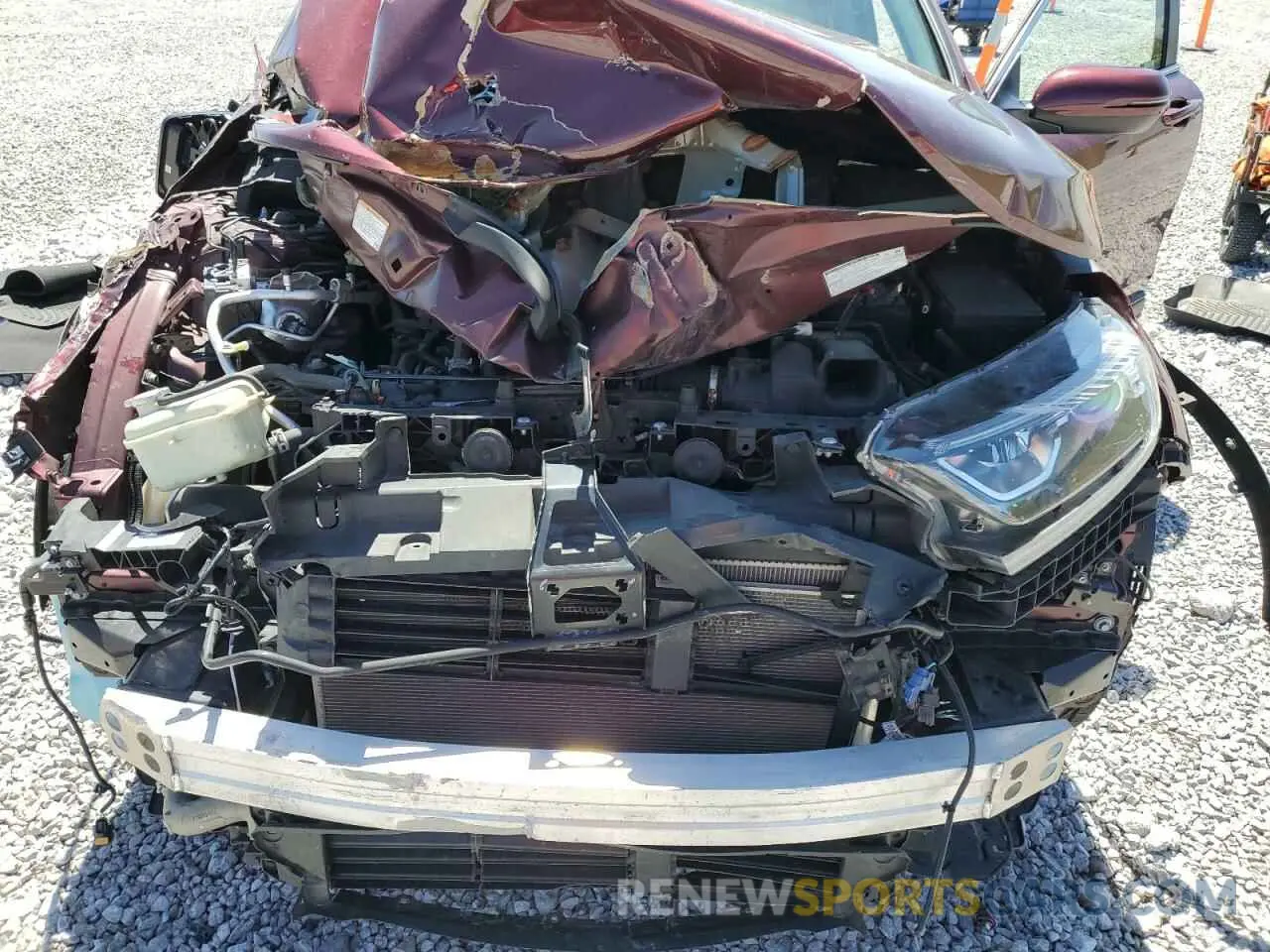 12 fotografías del automóvil dañado 7FARW2H81KE058221 HONDA CRV 2019