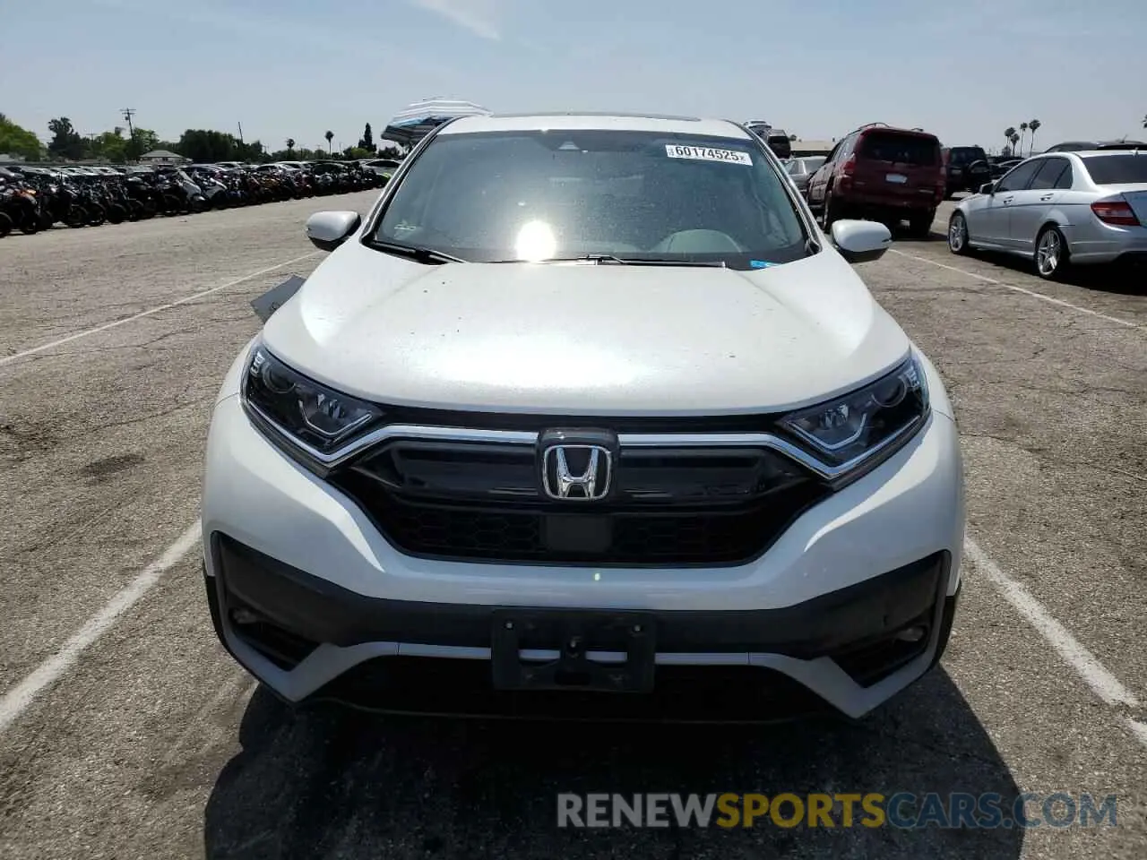 5 fotografías del automóvil dañado 5J6RW1H85MA005422 HONDA CRV 2021