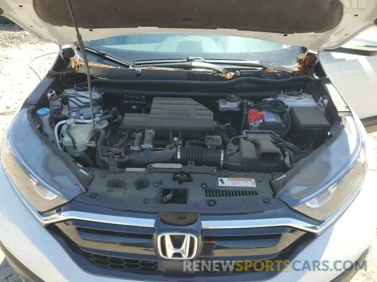 11 fotografías del automóvil dañado 5J6RW1H87ML007953 HONDA CRV 2021