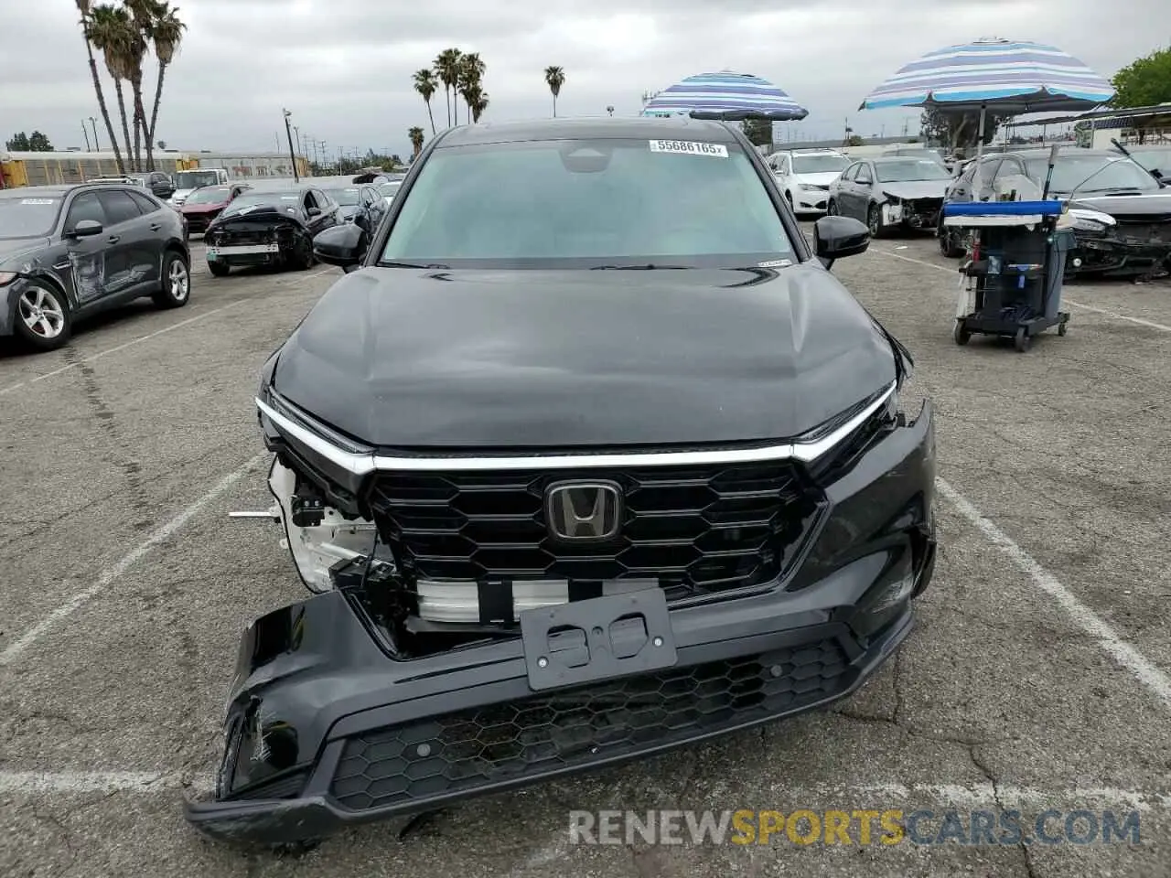 5 fotografías del automóvil dañado 2HKRS3H79RH324889 HONDA CRV 2024