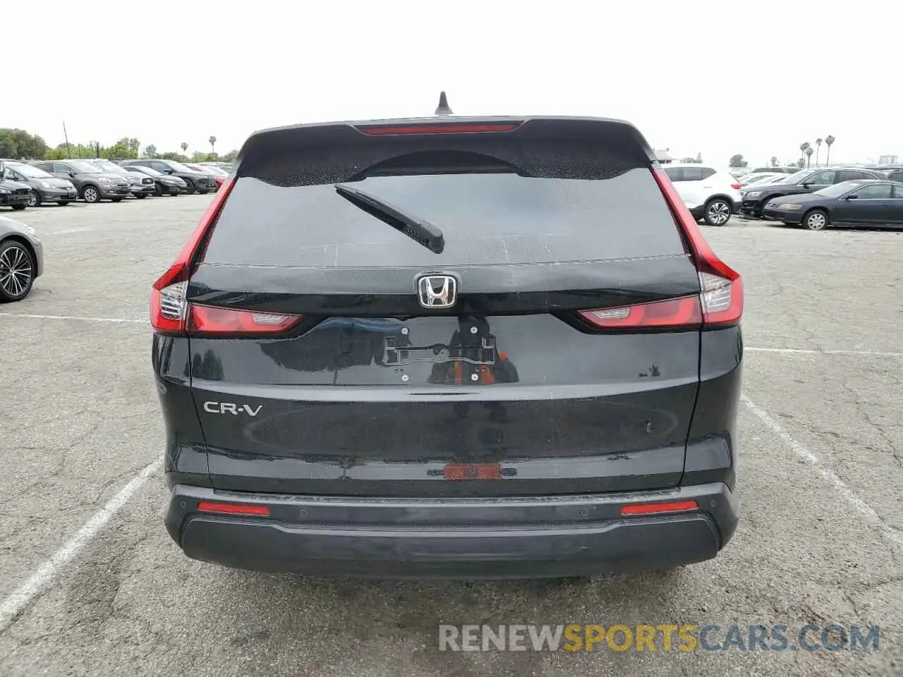 6 fotografías del automóvil dañado 2HKRS3H79RH324889 HONDA CRV 2024