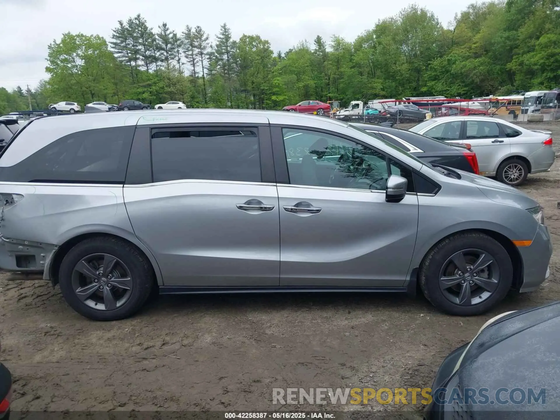 13 fotografías del automóvil dañado 5FNRL6H50MB016840 HONDA ODYSSEY 2021