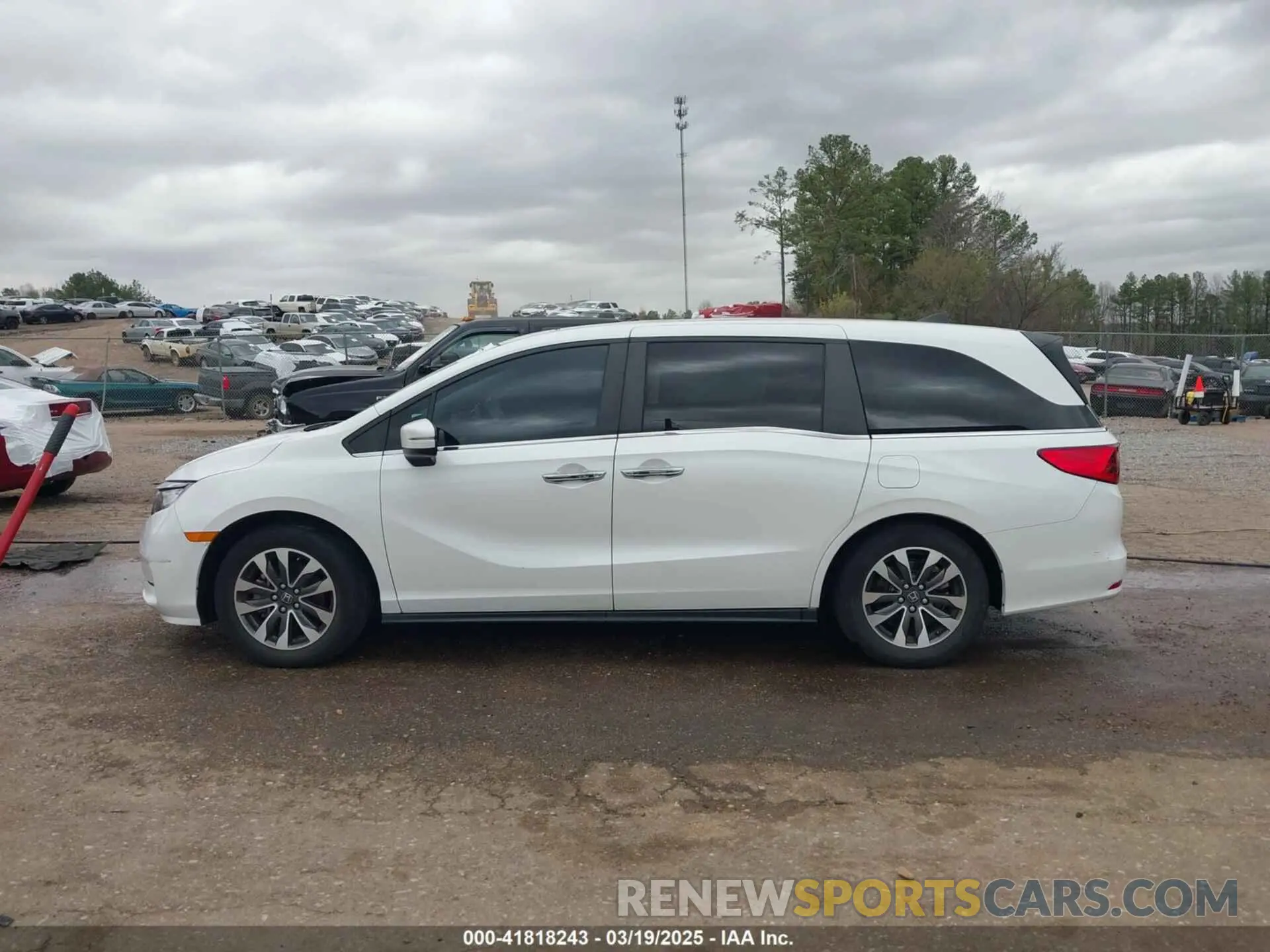 14 fotografías del automóvil dañado 5FNRL6H76NB002248 HONDA ODYSSEY 2022