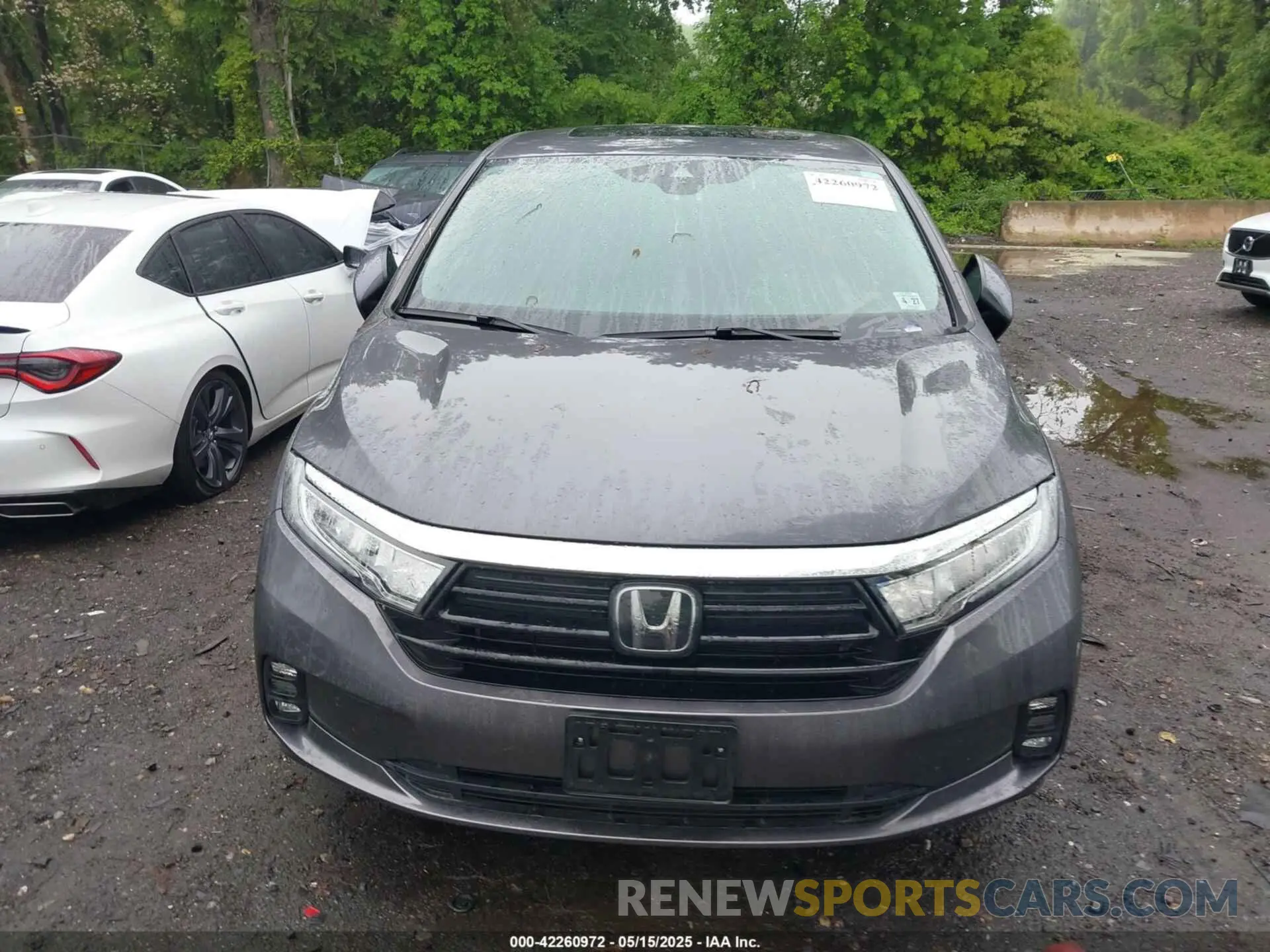 11 fotografías del automóvil dañado 5FNRL6H77NB018068 HONDA ODYSSEY 2022