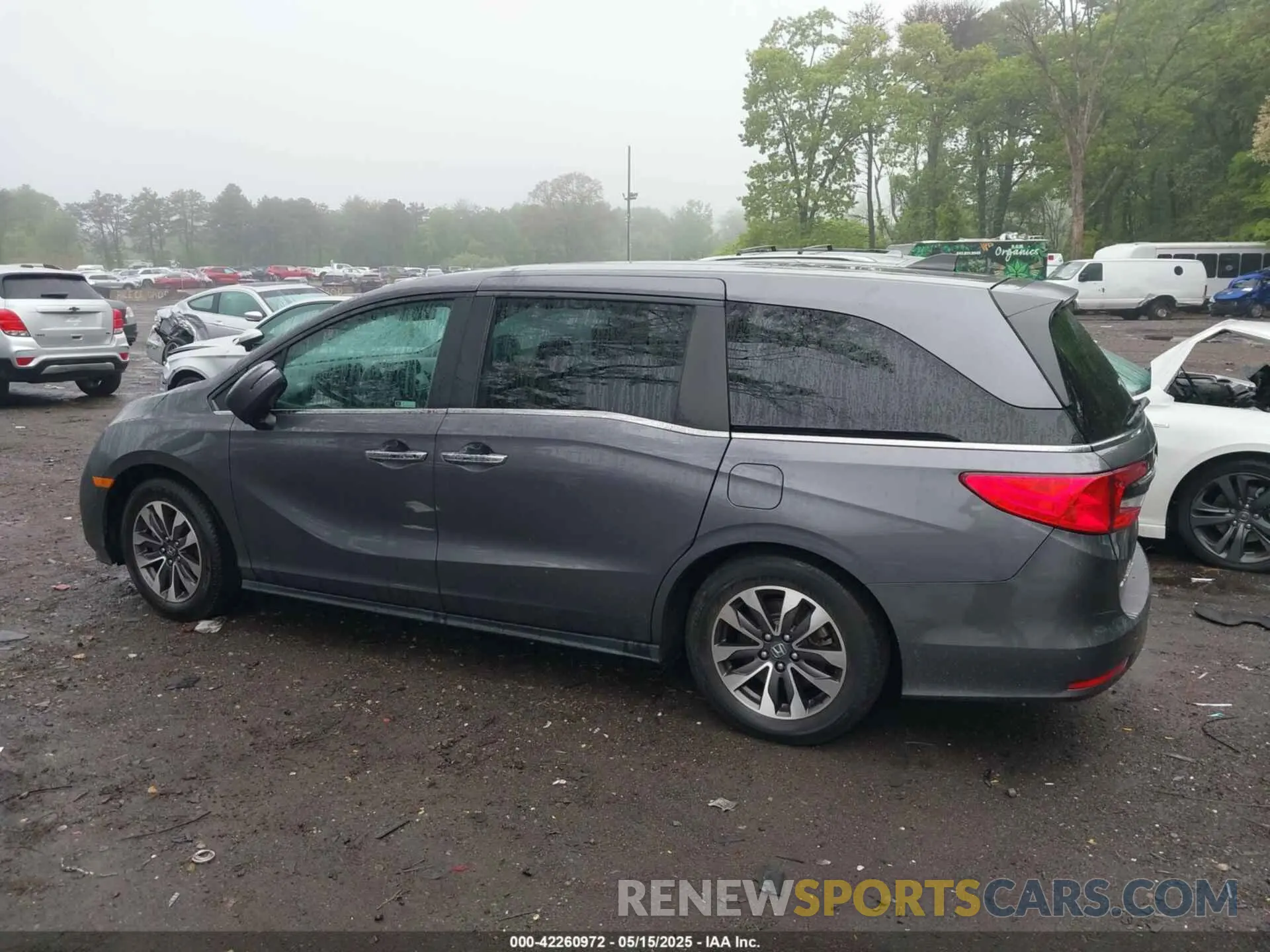 13 fotografías del automóvil dañado 5FNRL6H77NB018068 HONDA ODYSSEY 2022