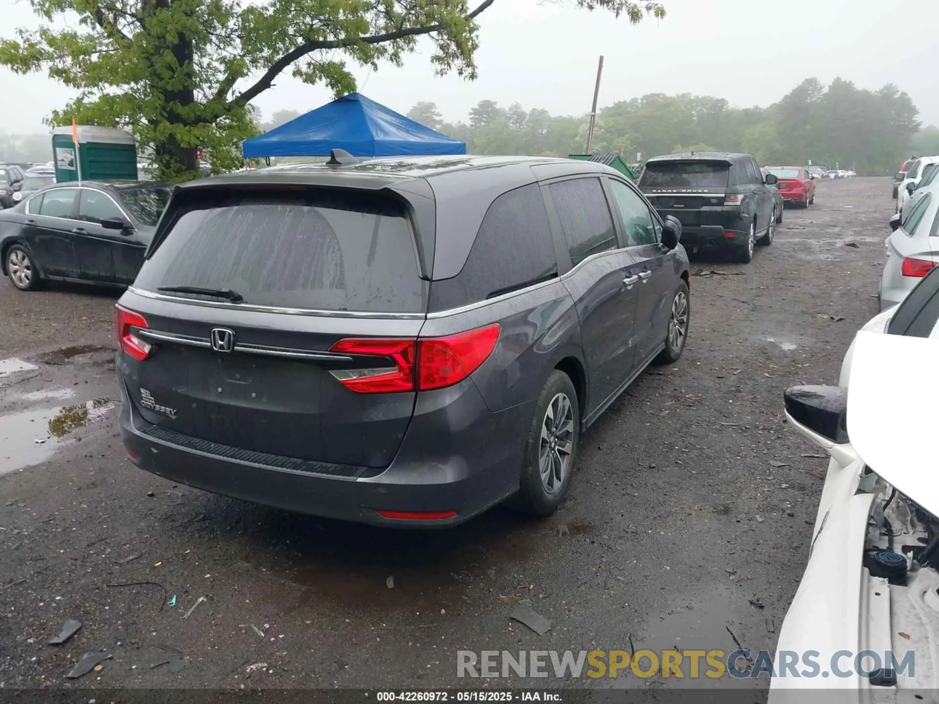 4 fotografías del automóvil dañado 5FNRL6H77NB018068 HONDA ODYSSEY 2022