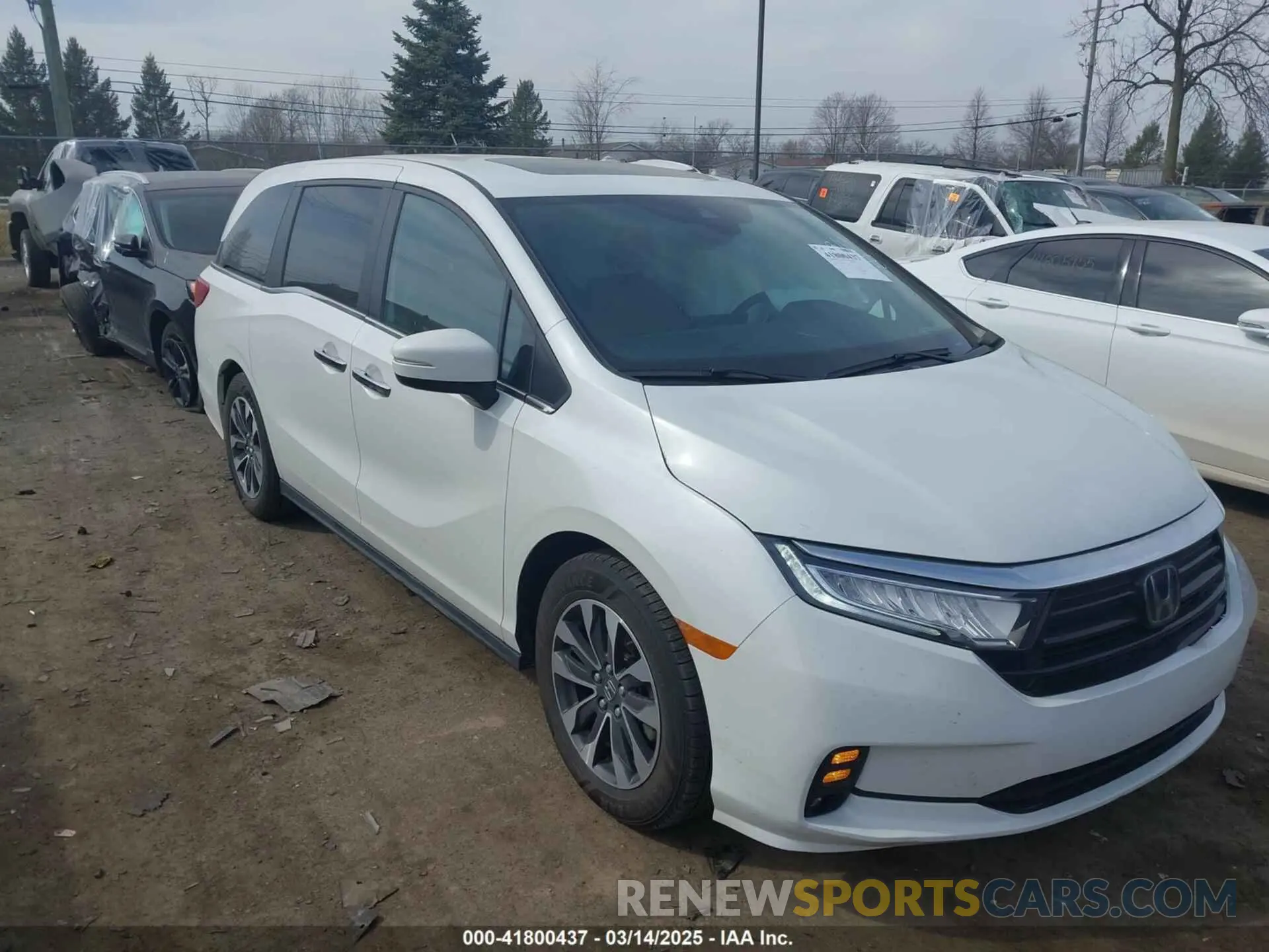 1 fotografías del automóvil dañado 5FNRL6H7XNB043658 HONDA ODYSSEY 2022