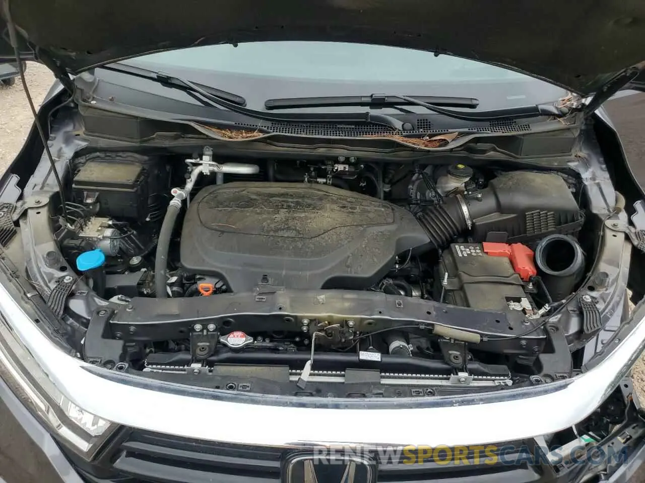 12 fotografías del automóvil dañado 5FNRL6H86PB024066 HONDA ODYSSEY 2023