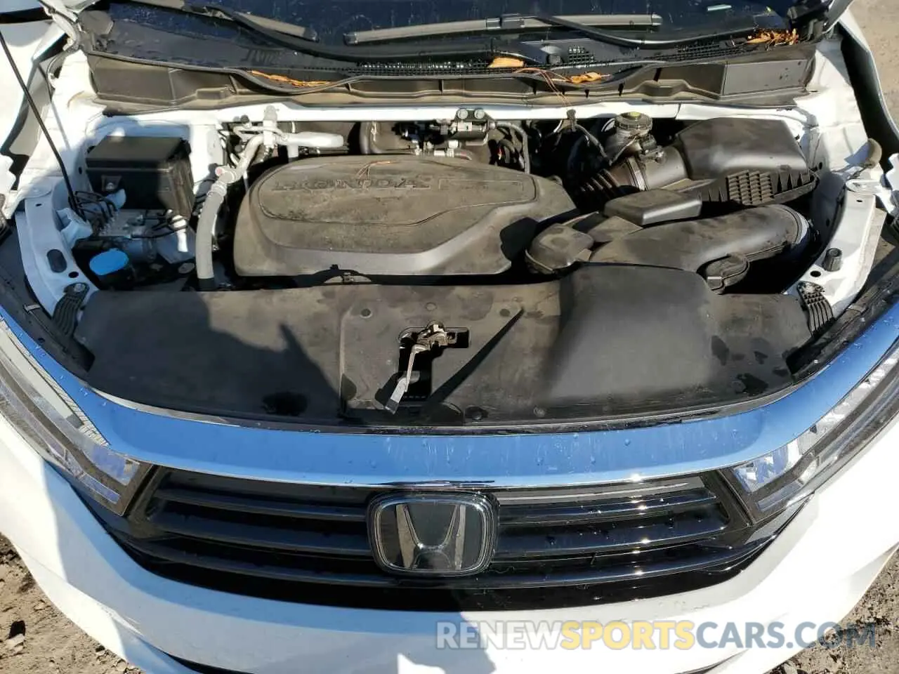 12 fotografías del automóvil dañado 5FNRL6H92PB029936 HONDA ODYSSEY 2023