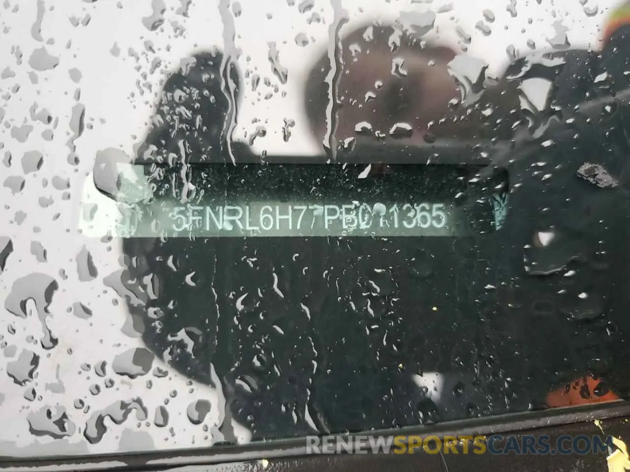 15 fotografías del automóvil dañado 5FNRL6H77PB011365 HONDA ODYSSEY SP 2023