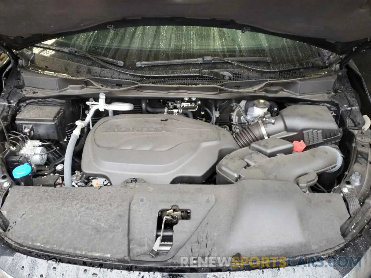 14 fotografías del automóvil dañado 5FNRL6H72RB059777 HONDA ODYSSEY SP 2024
