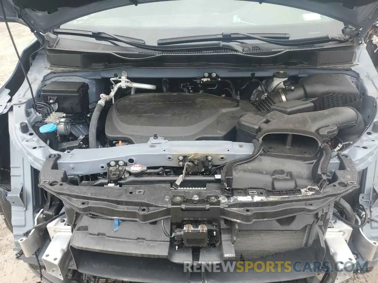 12 fotografías del automóvil dañado 5FNRL6H75RB057537 HONDA ODYSSEY SP 2024