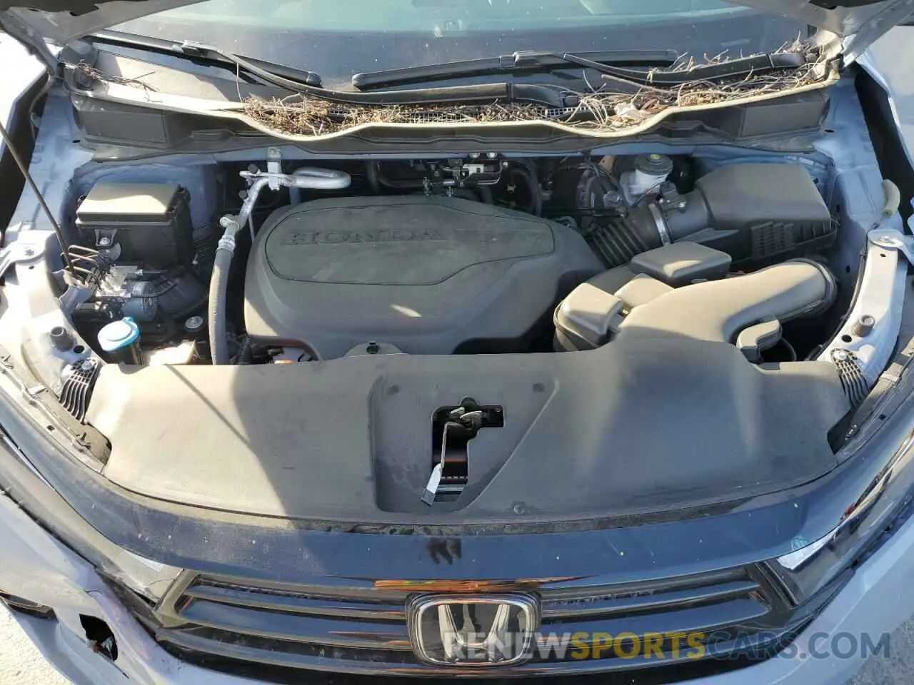 12 fotografías del automóvil dañado 5FNRL6H75RB059983 HONDA ODYSSEY SP 2024