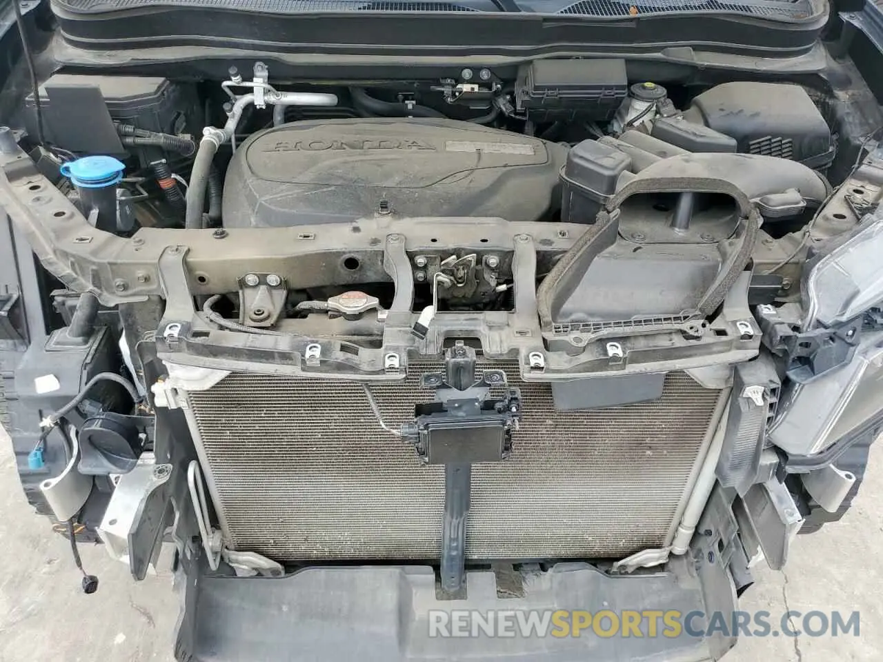 12 fotografías del automóvil dañado 5FNYF7H5XKB011151 HONDA PASSPORT 2019