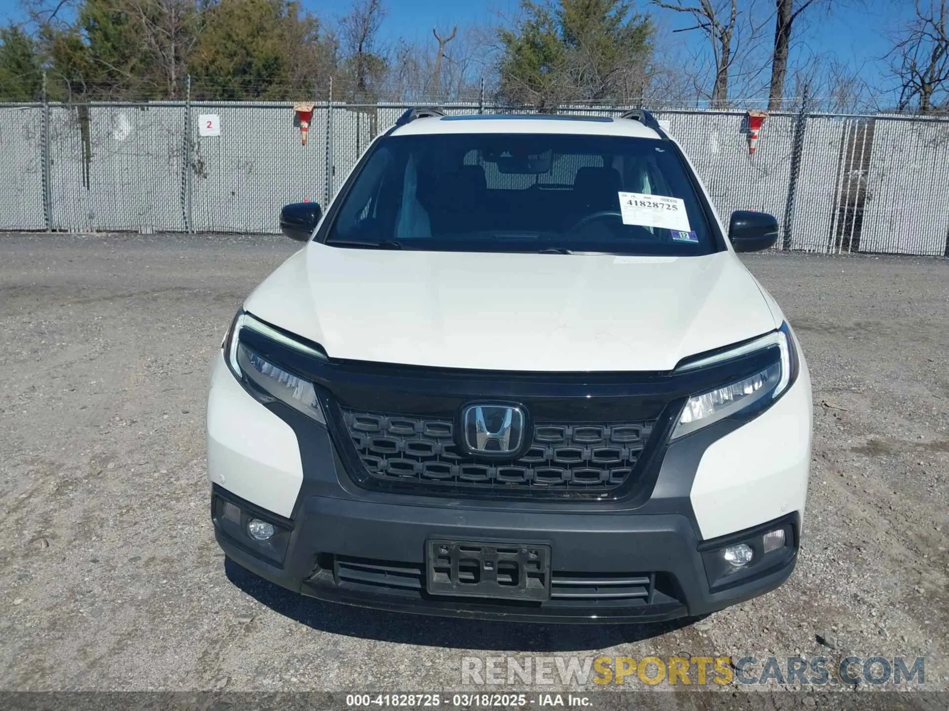 12 fotografías del automóvil dañado 5FNYF8H04KB005307 HONDA PASSPORT 2019