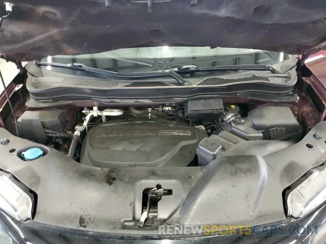 12 fotografías del automóvil dañado 5FNYF8H21KB008778 HONDA PASSPORT 2019