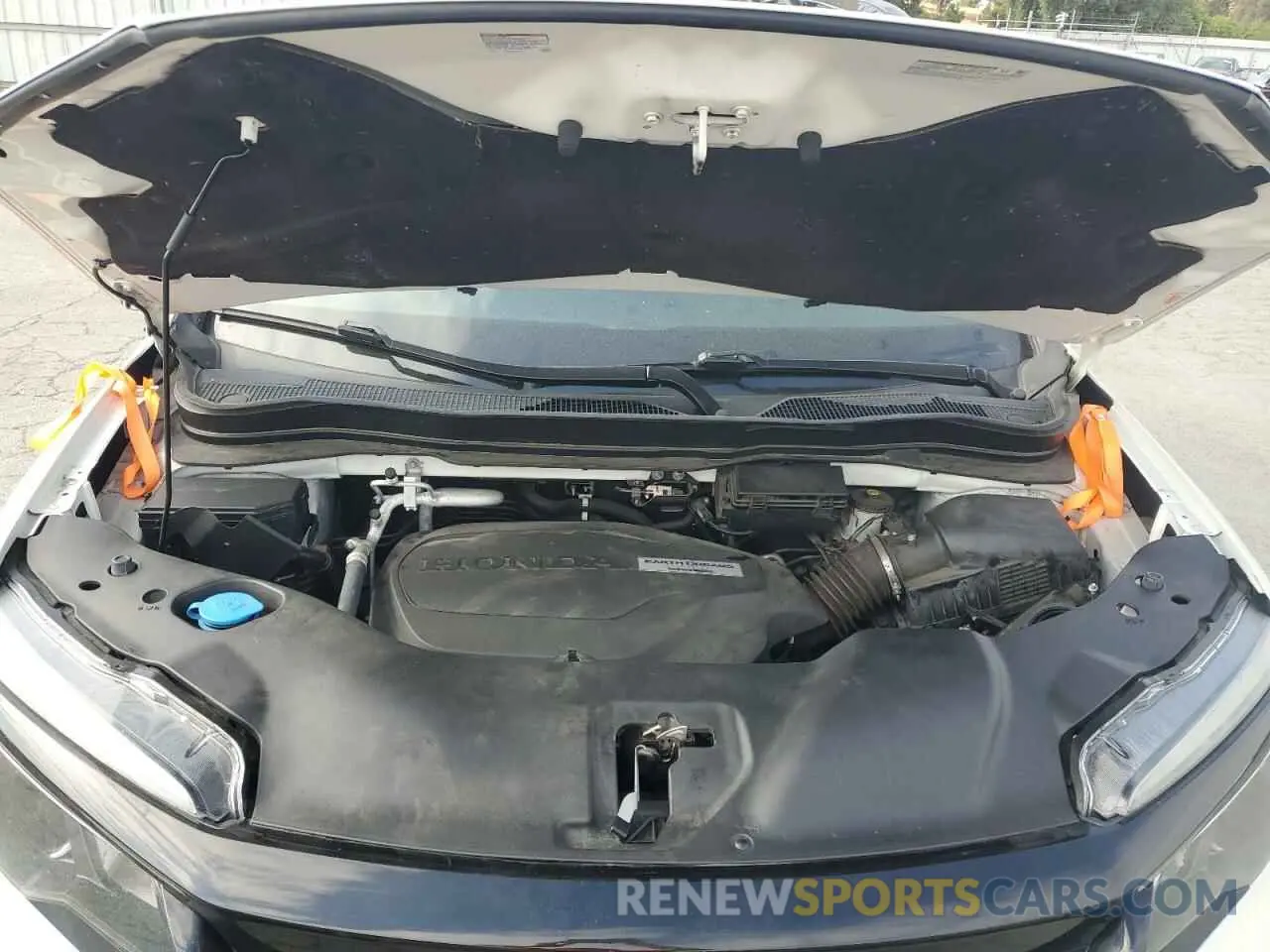 12 fotografías del automóvil dañado 5FNYF8H22KB016114 HONDA PASSPORT 2019