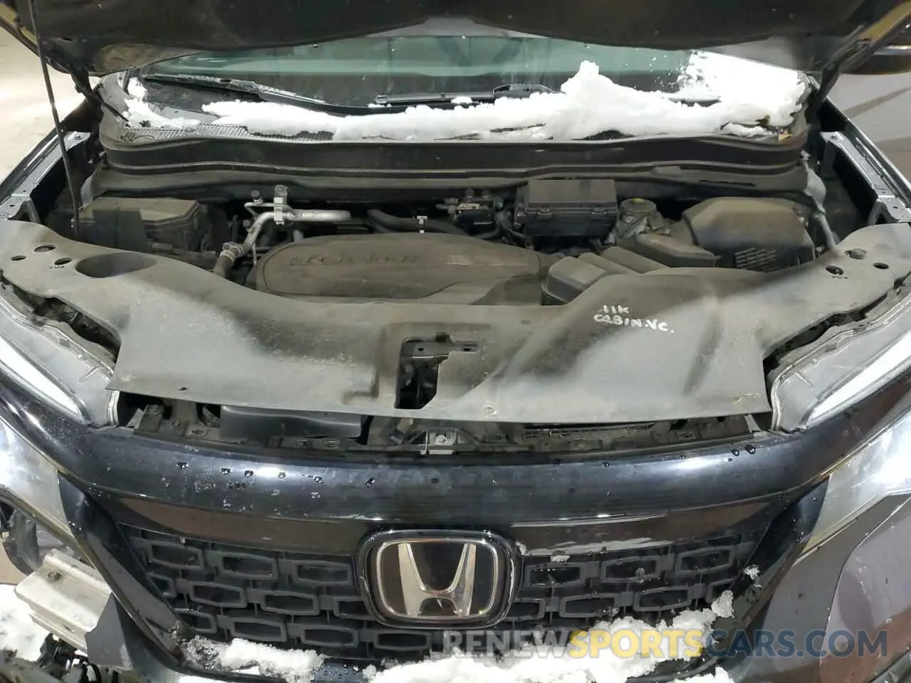 12 fotografías del automóvil dañado 5FNYF8H56KB028406 HONDA PASSPORT 2019