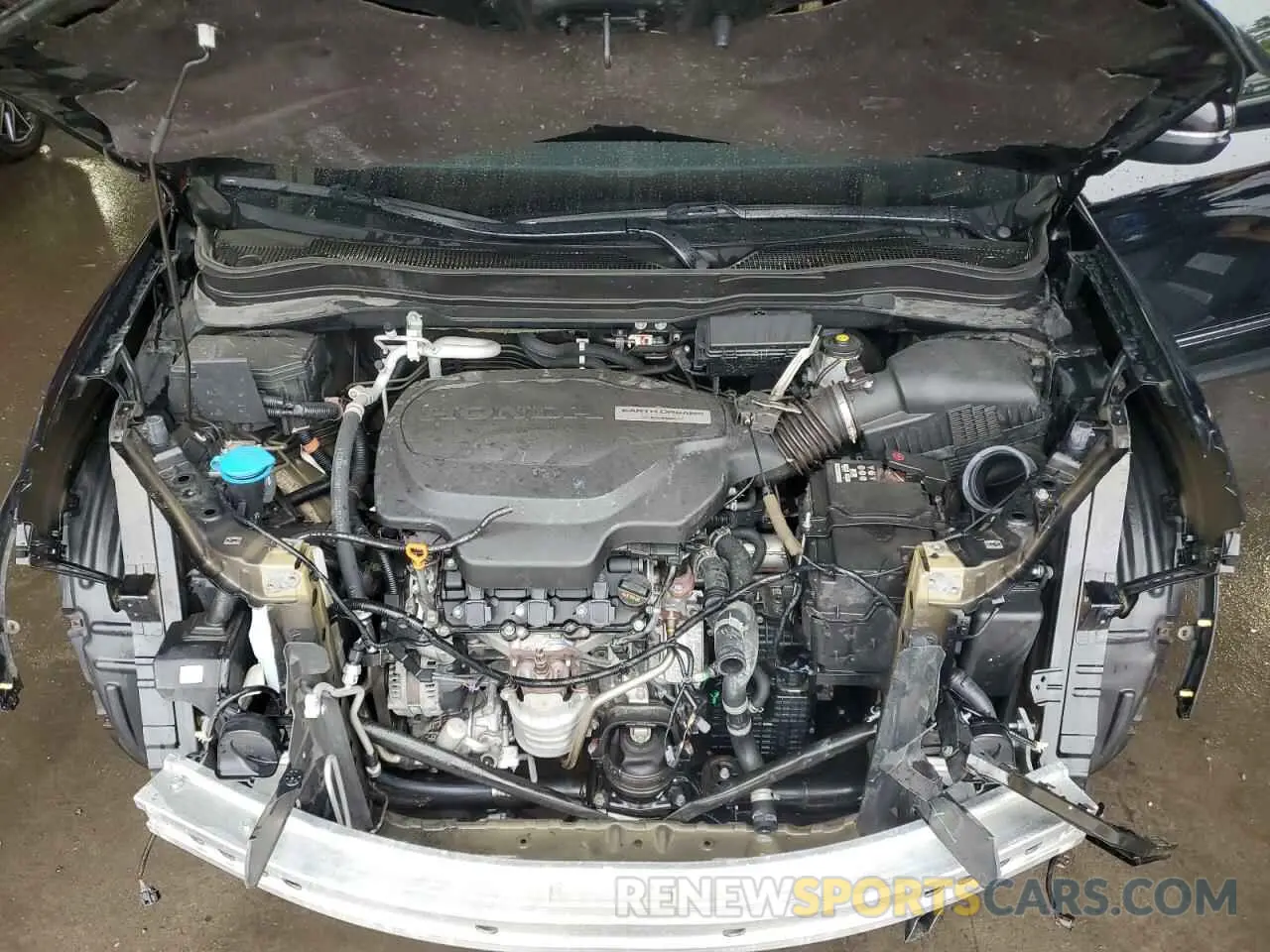 12 fotografías del automóvil dañado 5FNYF8H59KB019053 HONDA PASSPORT 2019
