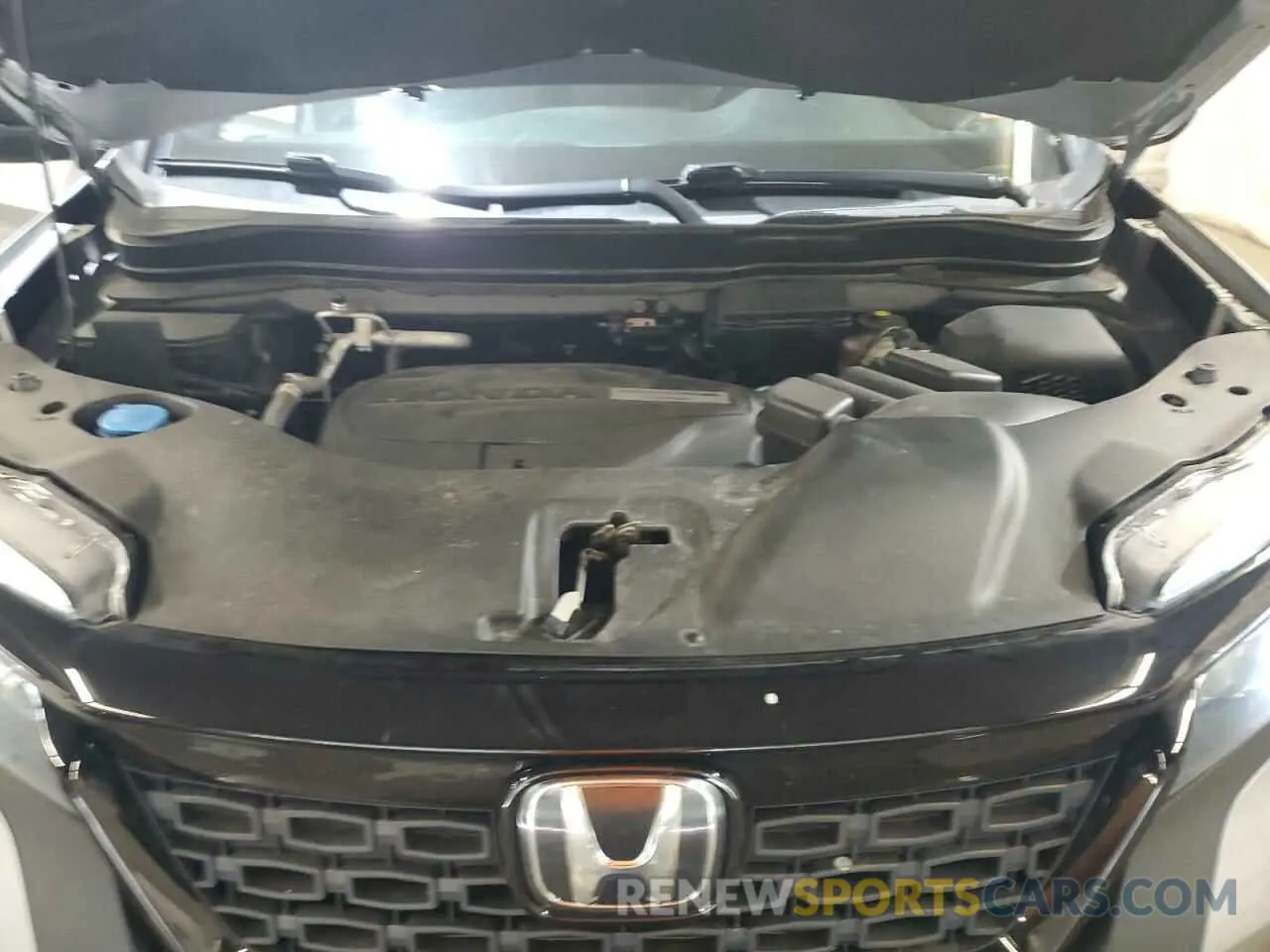 12 fotografías del automóvil dañado 5FNYF8H59KB019537 HONDA PASSPORT 2019