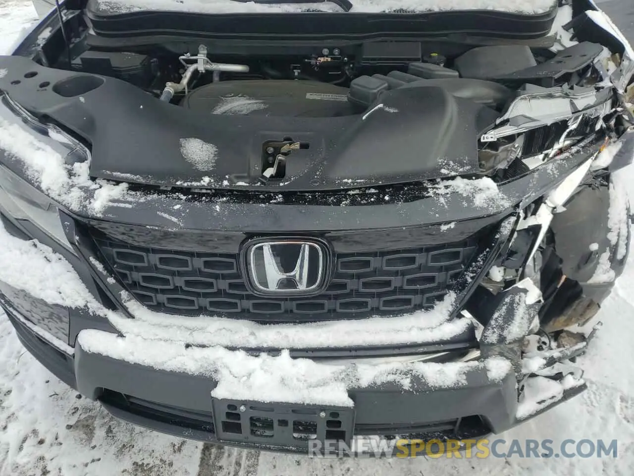 12 fotografías del automóvil dañado 5FNYF8H95KB020218 HONDA PASSPORT 2019