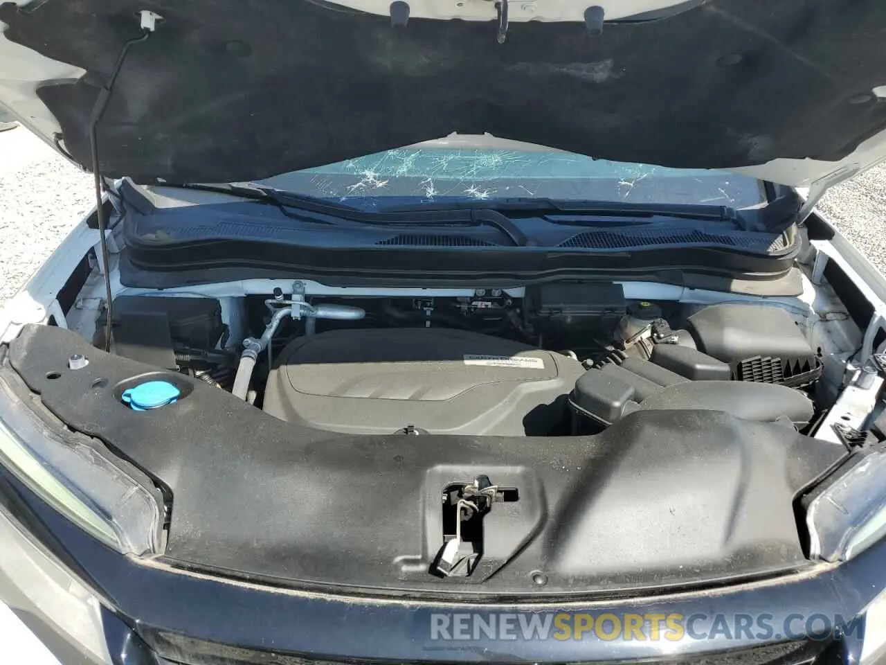 12 fotografías del automóvil dañado 5FNYF8H95KB023801 HONDA PASSPORT 2019
