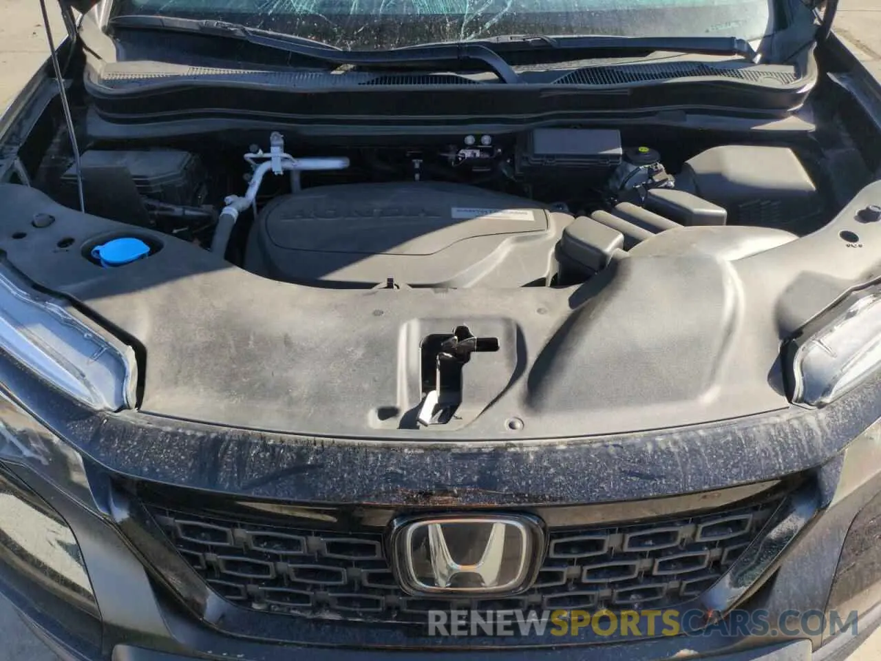 12 fotografías del automóvil dañado 5FNYF8H54LB012271 HONDA PASSPORT 2020