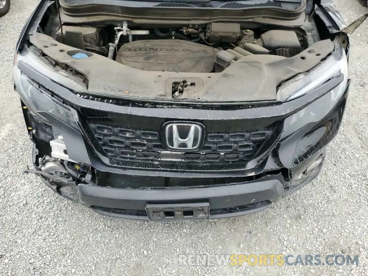12 fotografías del automóvil dañado 5FNYF7H53MB010524 HONDA PASSPORT 2021