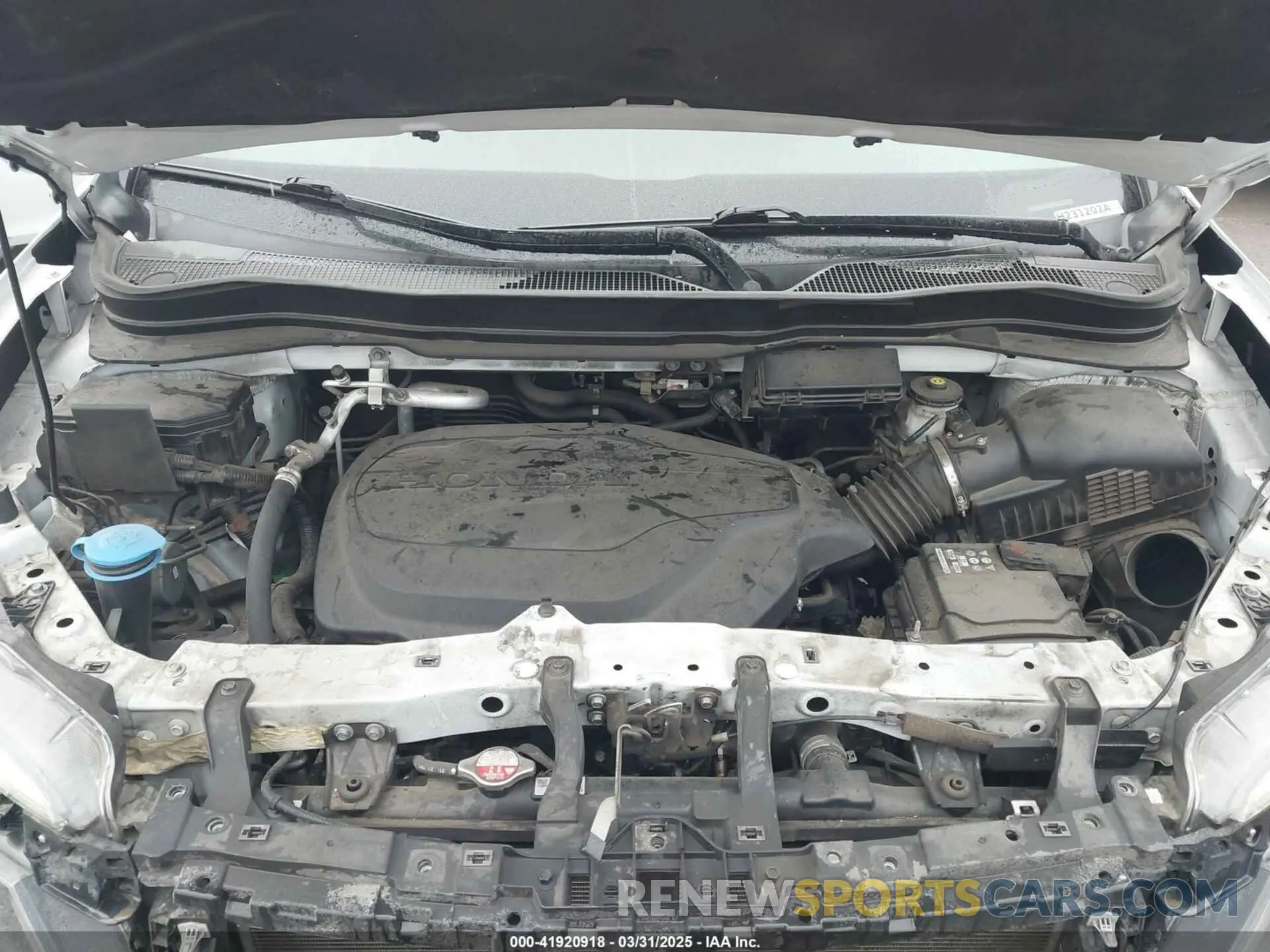 10 fotografías del automóvil dañado 5FNYF7H58MB008459 HONDA PASSPORT 2021