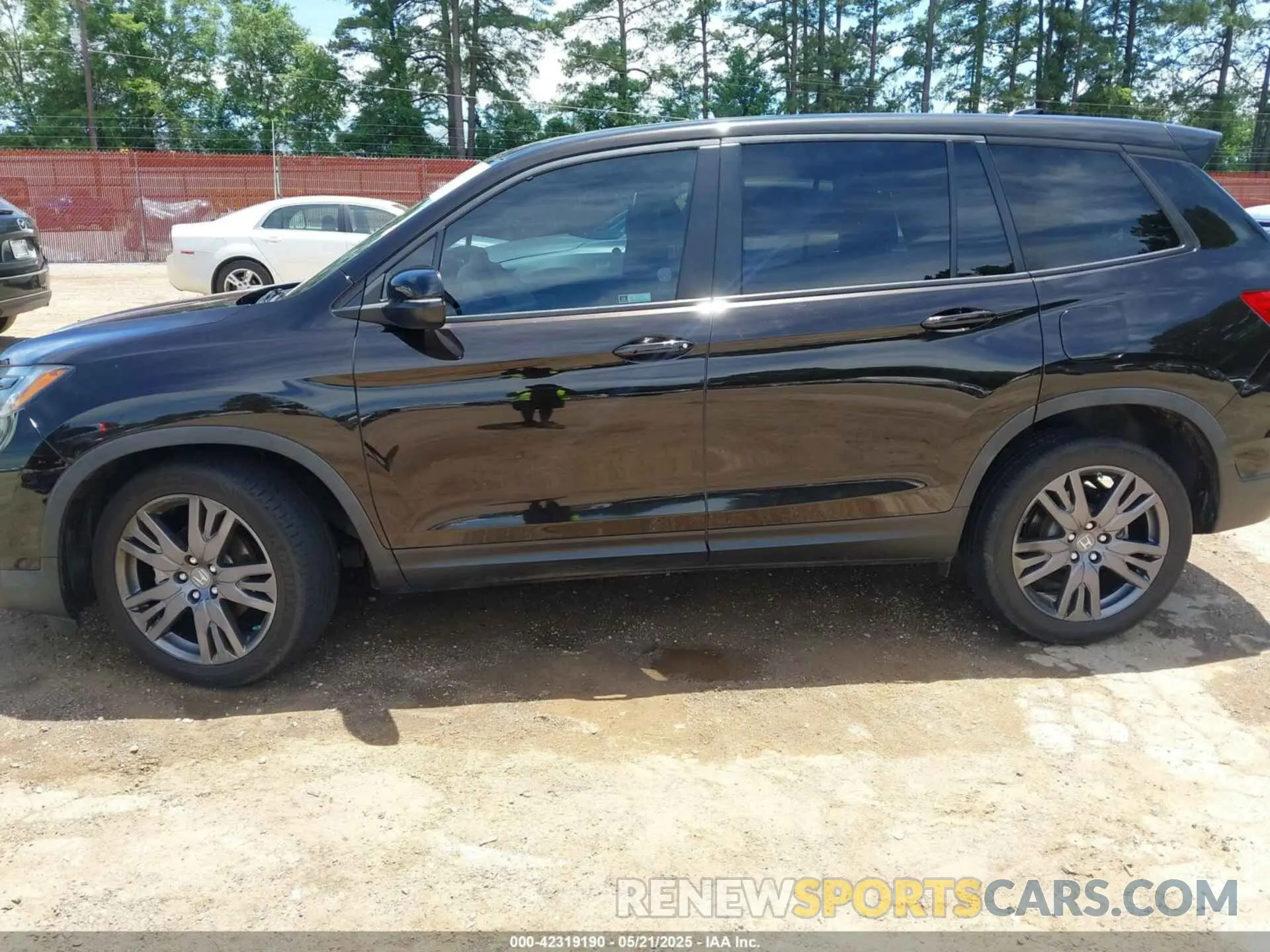 14 fotografías del automóvil dañado 5FNYF7H5XMB006986 HONDA PASSPORT 2021