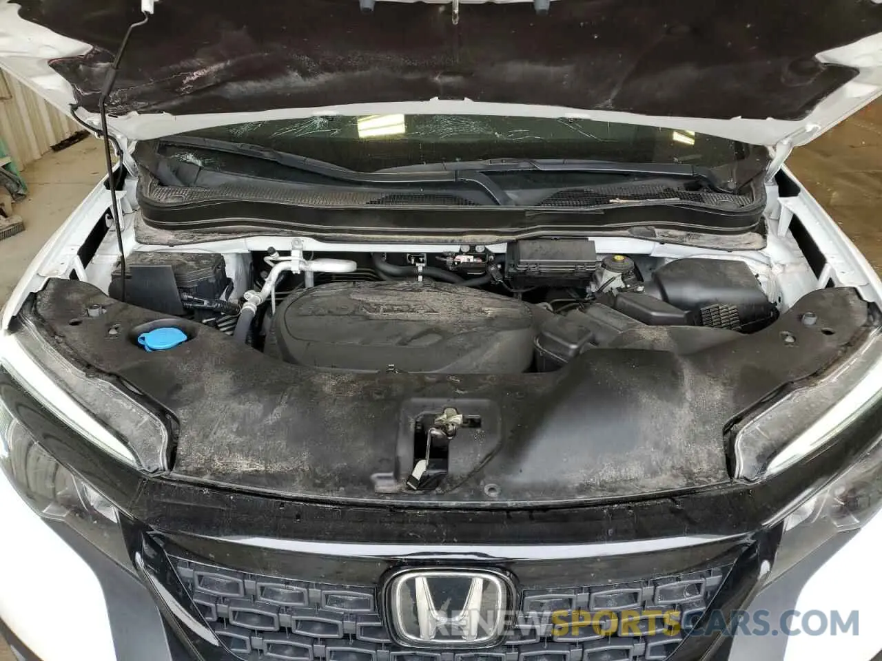 12 fotografías del automóvil dañado 5FNYF8H23MB015931 HONDA PASSPORT 2021