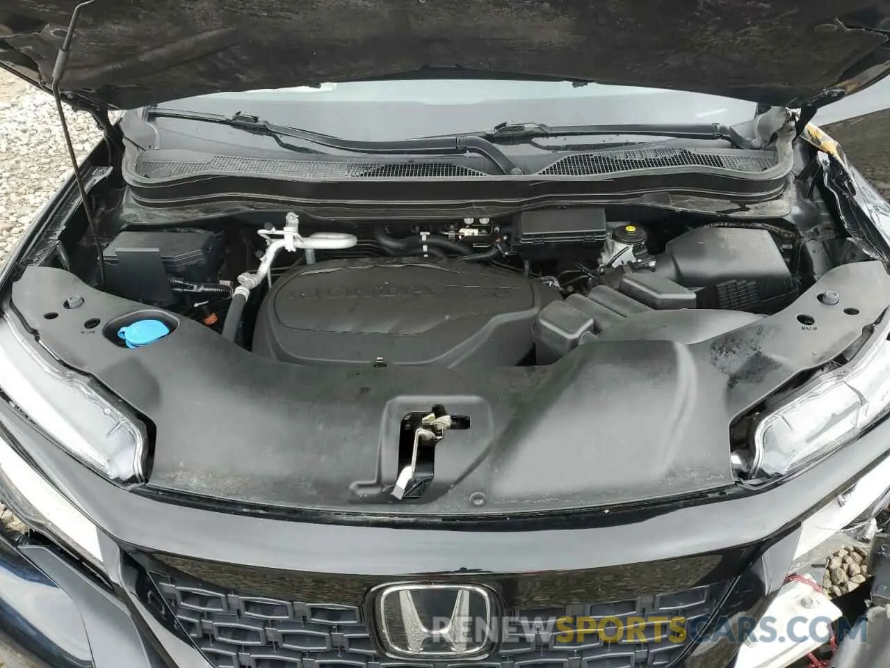 13 fotografías del automóvil dañado 5FNYF8H91MB009476 HONDA PASSPORT 2021